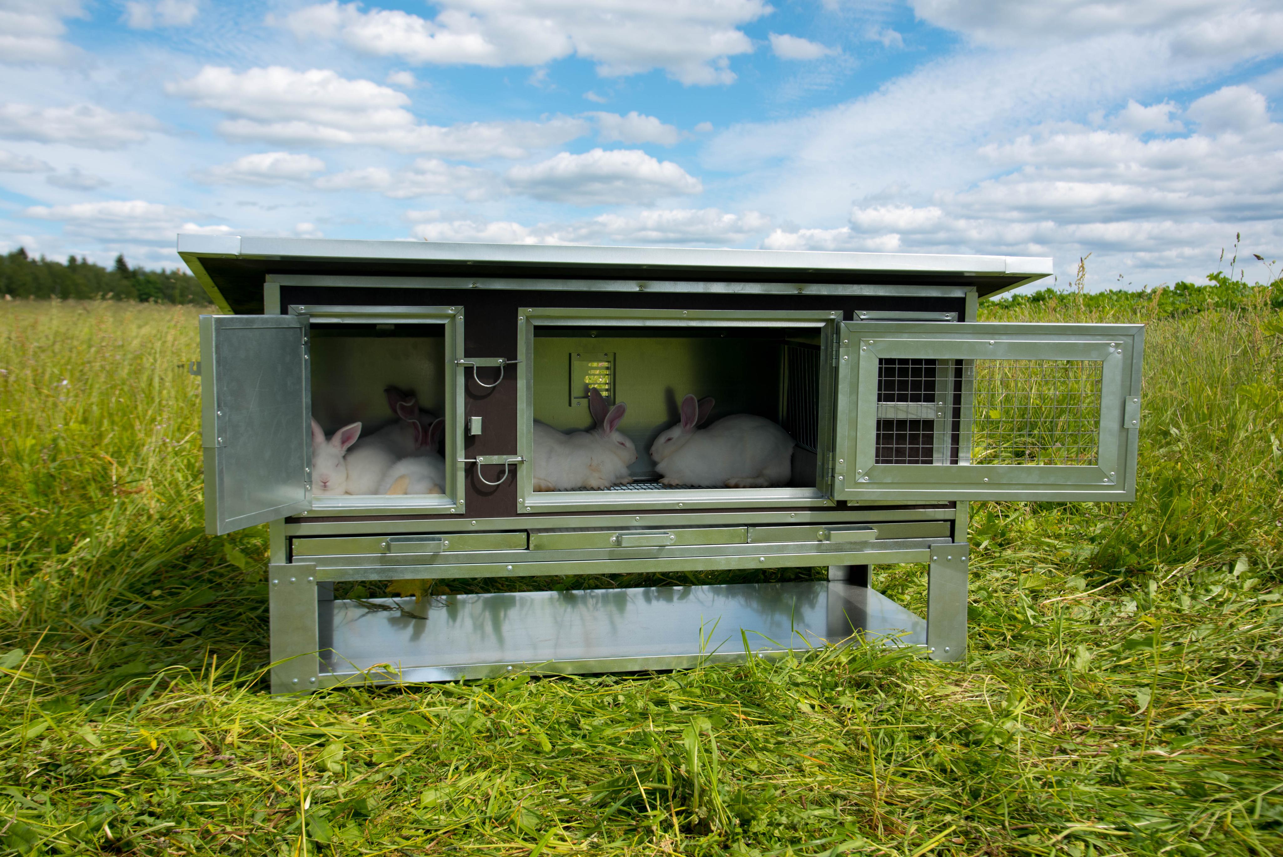Утепленный отапливаемый крольчатник "Бестселлер" М-11. Фото 13