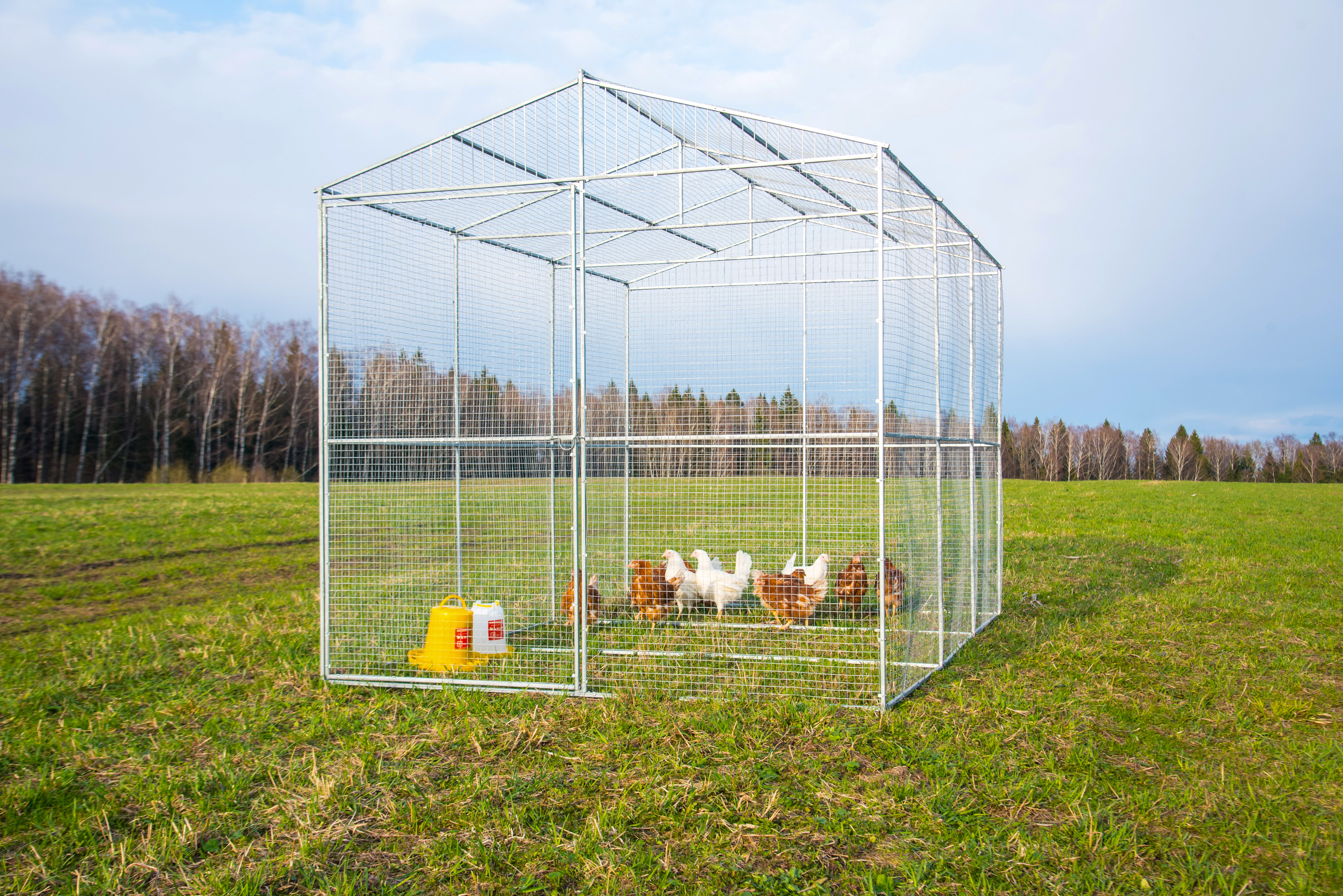 Выгул "Разгуляй" из сетки 2-7-С . Фото 1