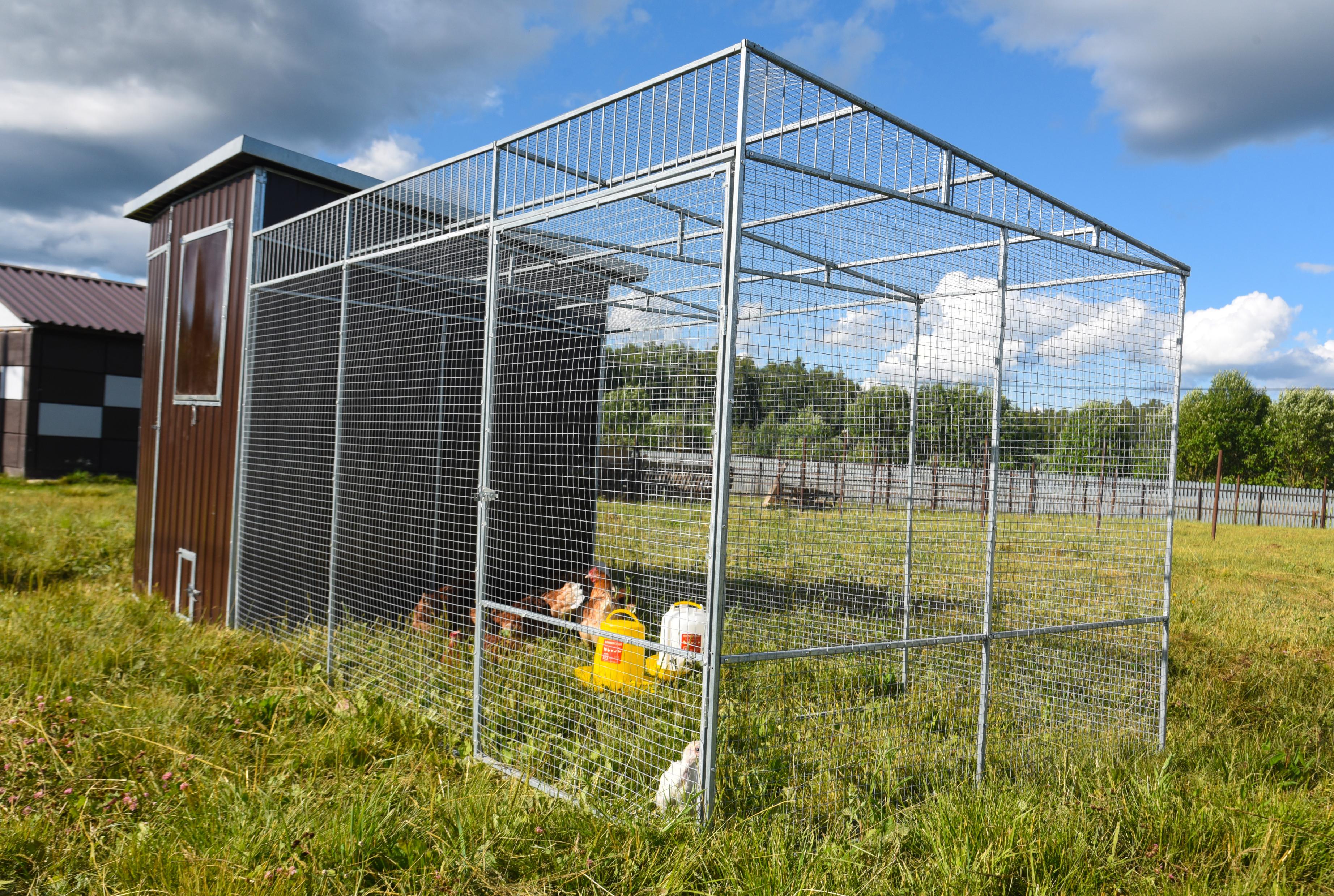 Выгул "Разгуляй" приставной из сетки 1-2-СП. Фото 2