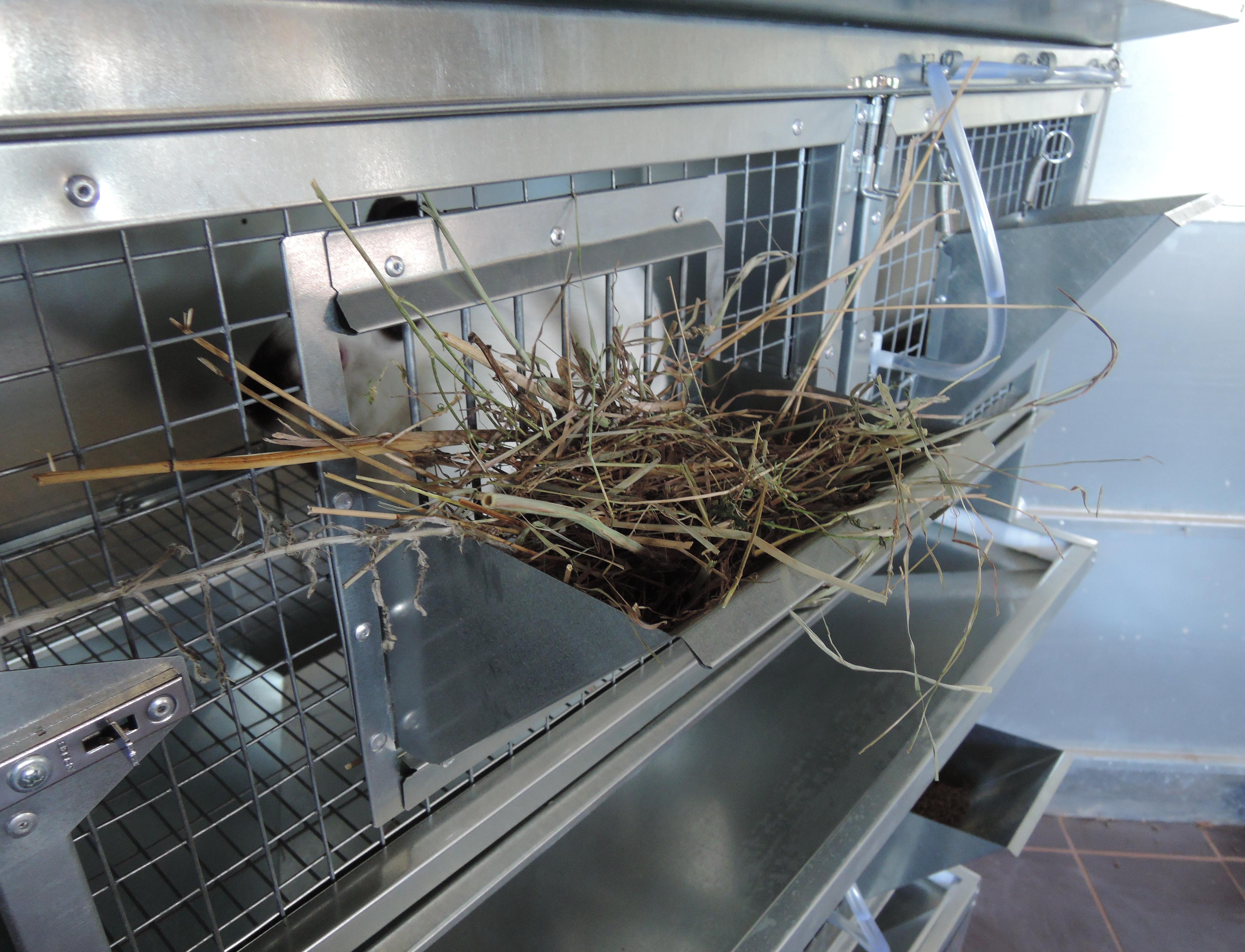 Клетка для кроликов "Профессионал  Элит" 95-КО-3. Фото 11