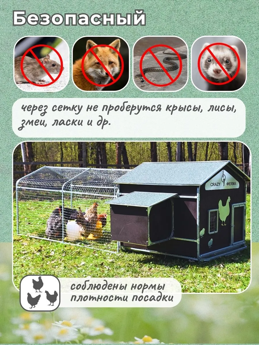 Выгул для курятника "Фаворит" на 8-10 кур. Фото 6