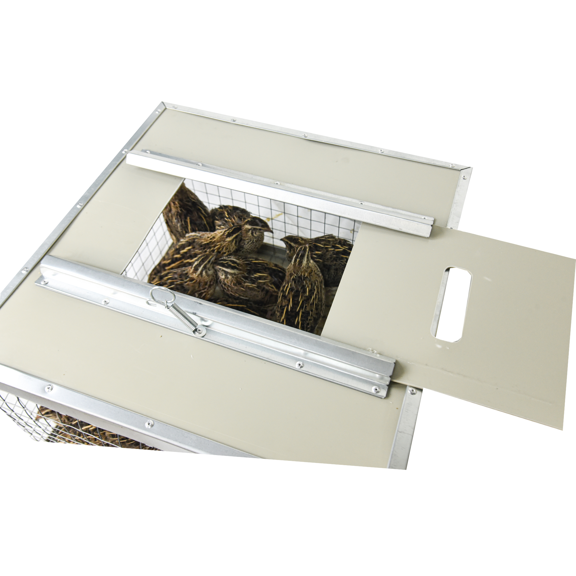 Клетка-переноска для птицы с 1 дверцей. Фото 8