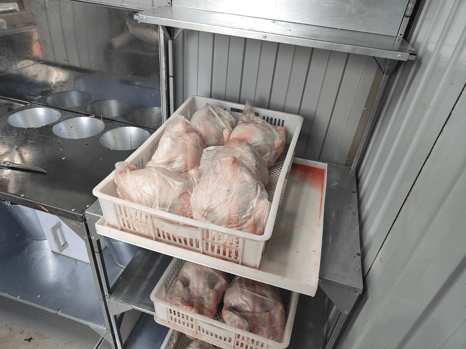 Убойный цех "ТЕХНОЛАЙН" 24/7. Фото 24