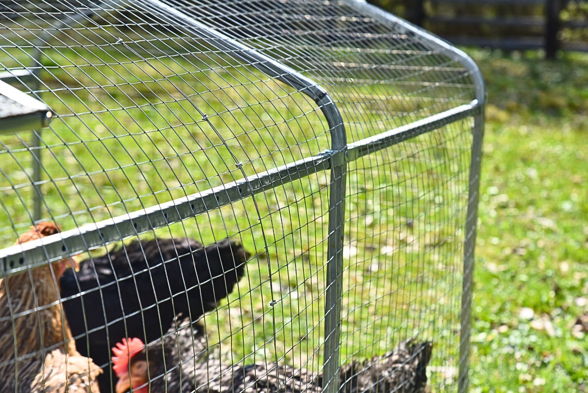 Выгул для курятника "Фаворит" на 8-10 кур. Фото 14