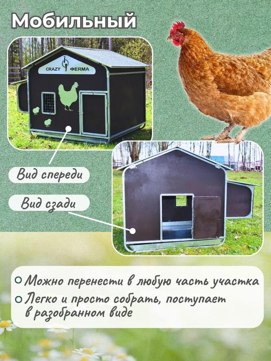 Курятник "Фаворит" на 8-10 кур. Фото 5