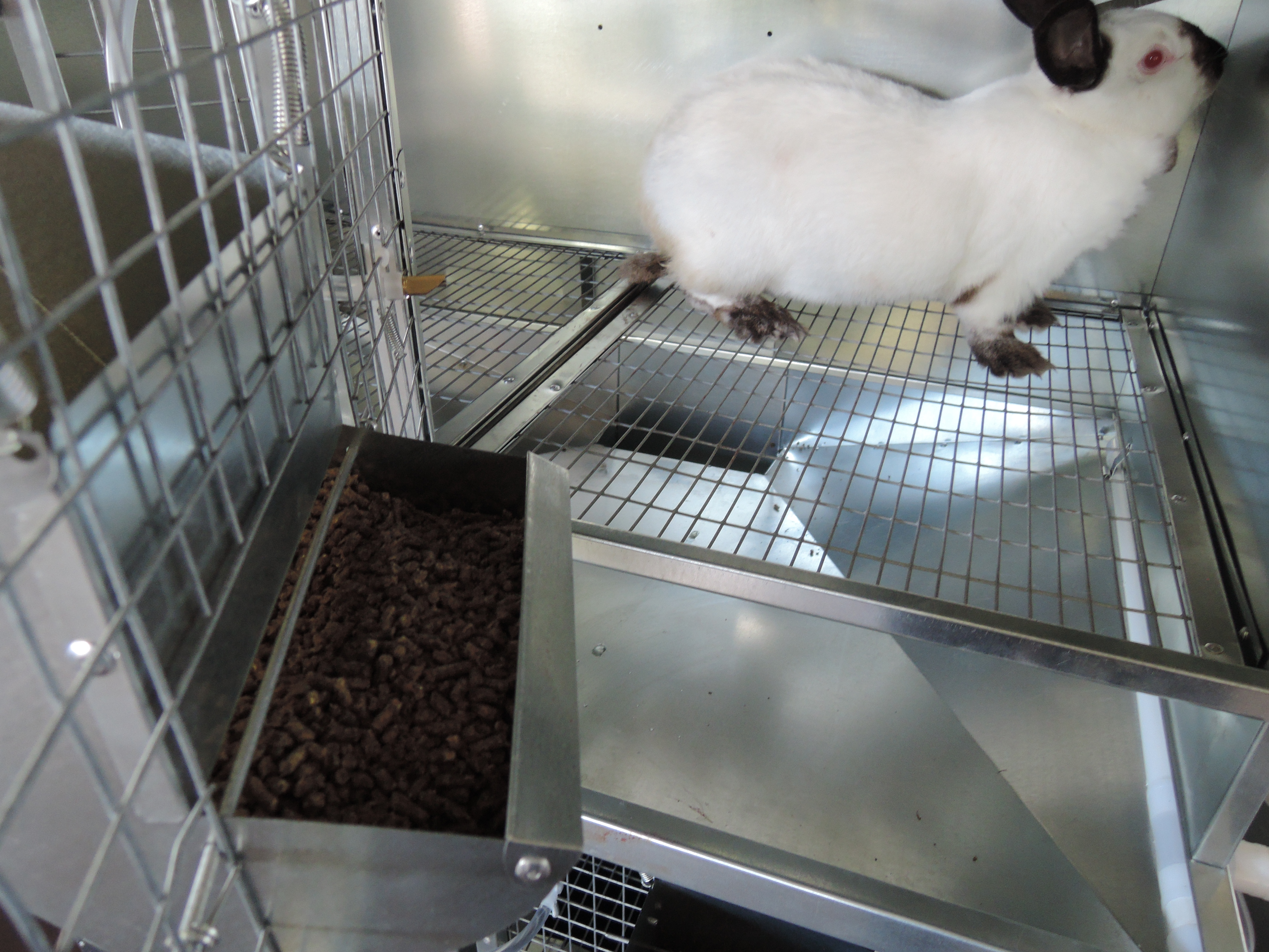 Клетка для кроликов "Профессионал  Элит" 95-КО-3. Фото 5