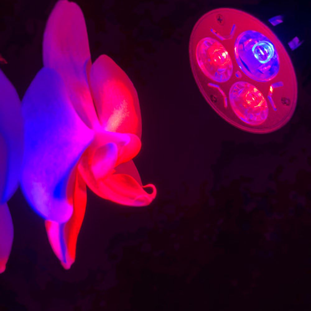 Фитолампа 6W (100 lm). Фото 4