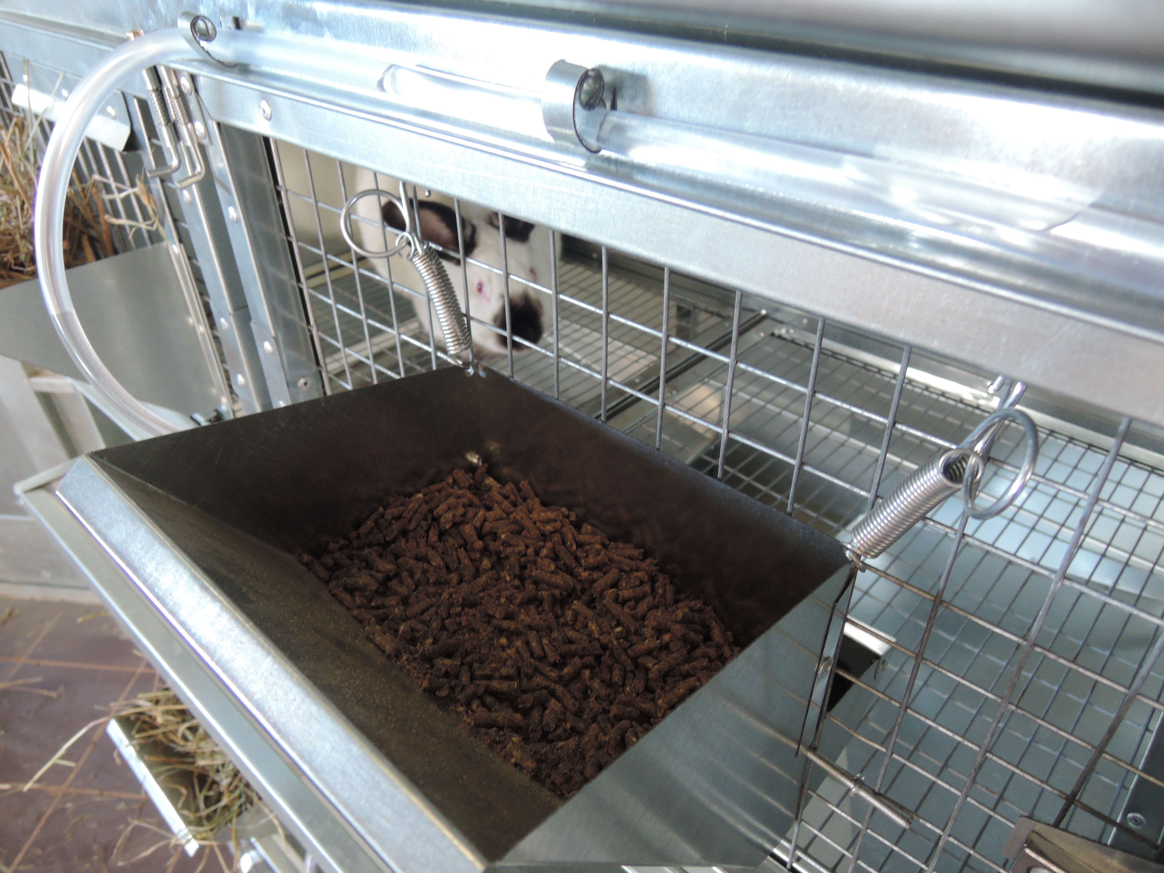 Клетка для кроликов "Профессионал  Элит" 95-КО-3. Фото 12