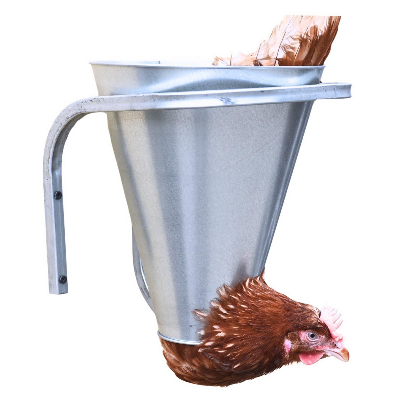 Конус для убоя  "М" с кронштейном крепления - (D-85/230; Н-280). Фото 5