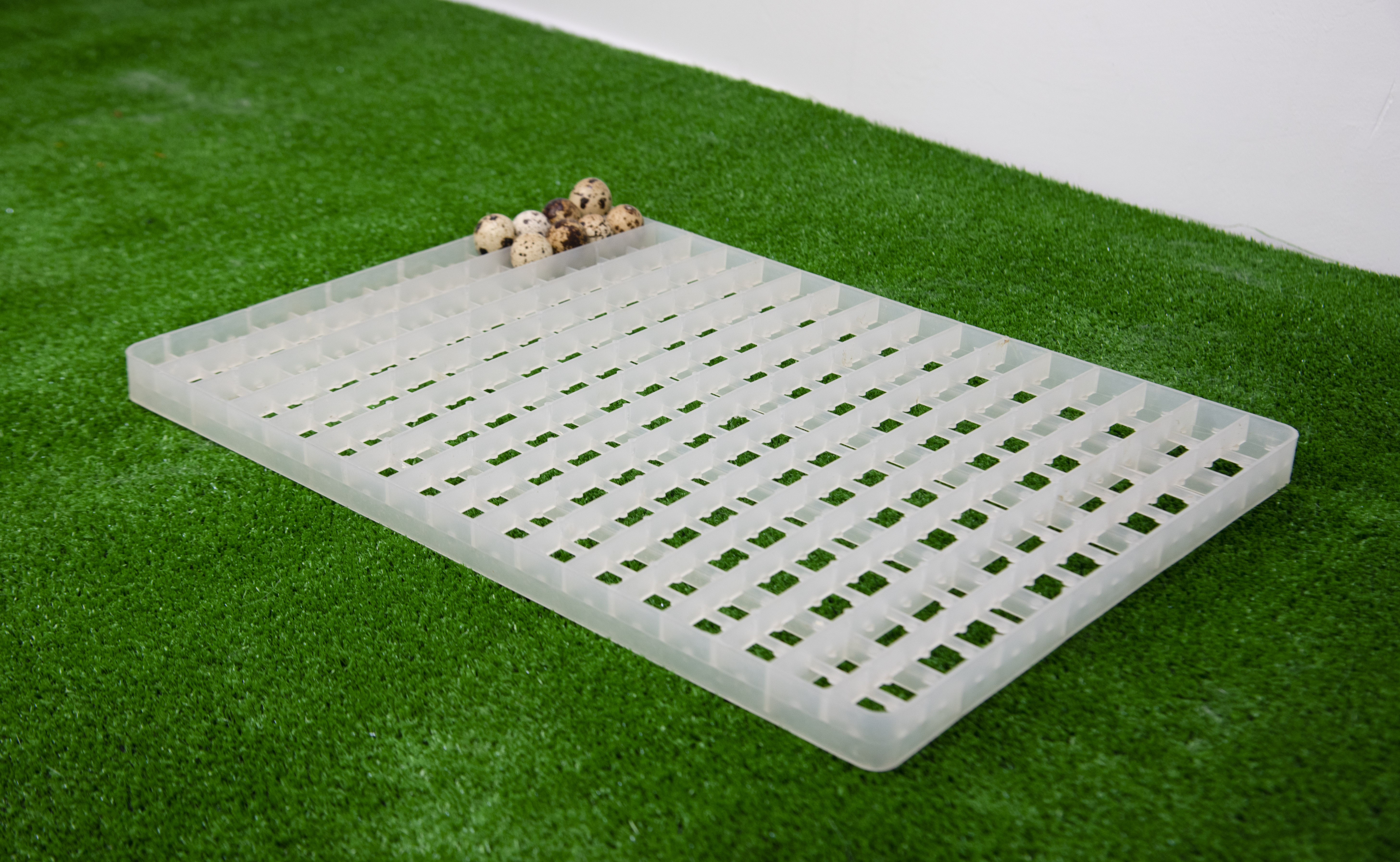 Сотовый лоток для перепелиных яиц. Фото 2