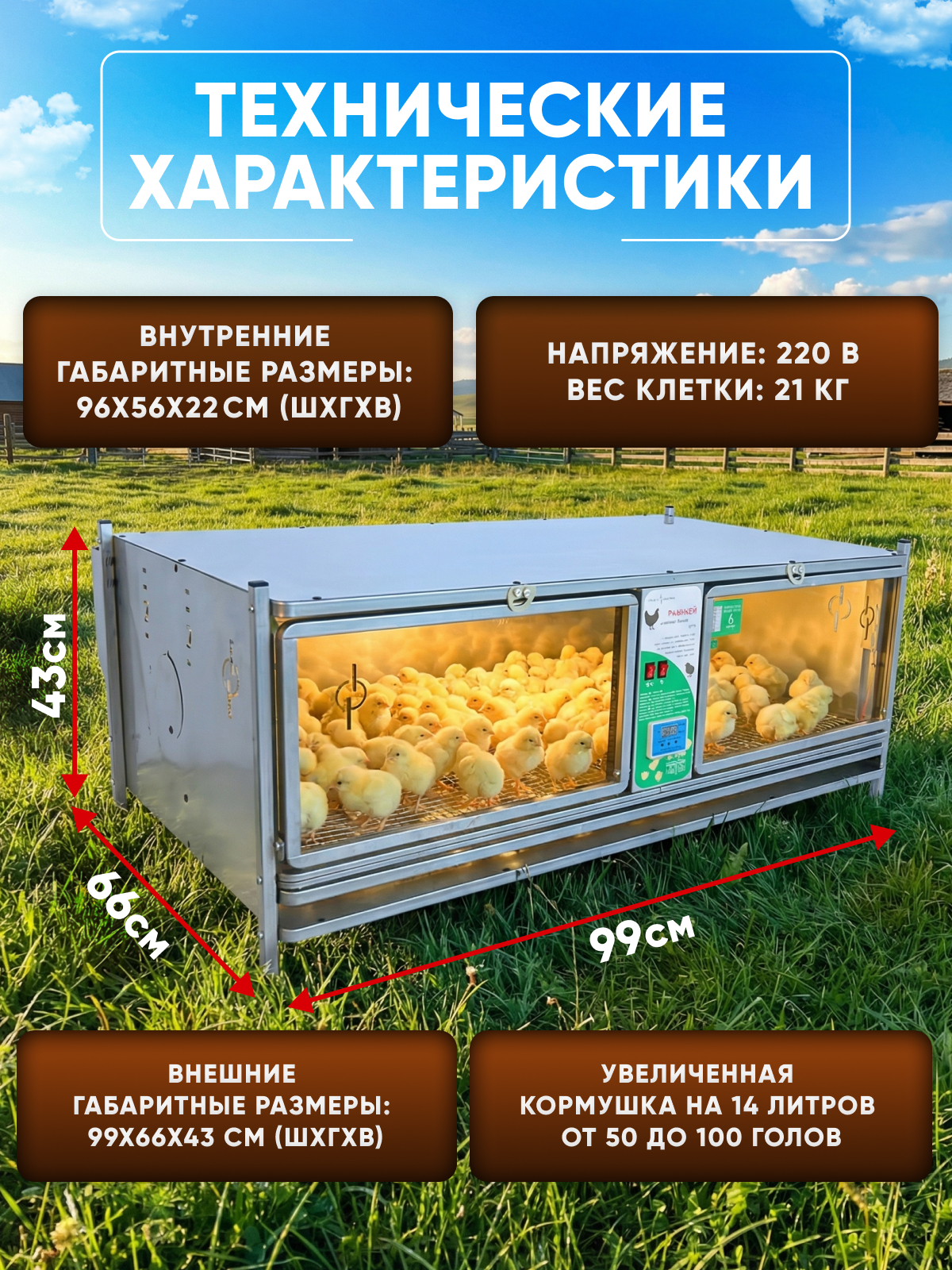Рамный цифровой брудер 0715 Стандарт. Фото 6 Рамный цифровой брудер 0715 Стандарт. Фото 6