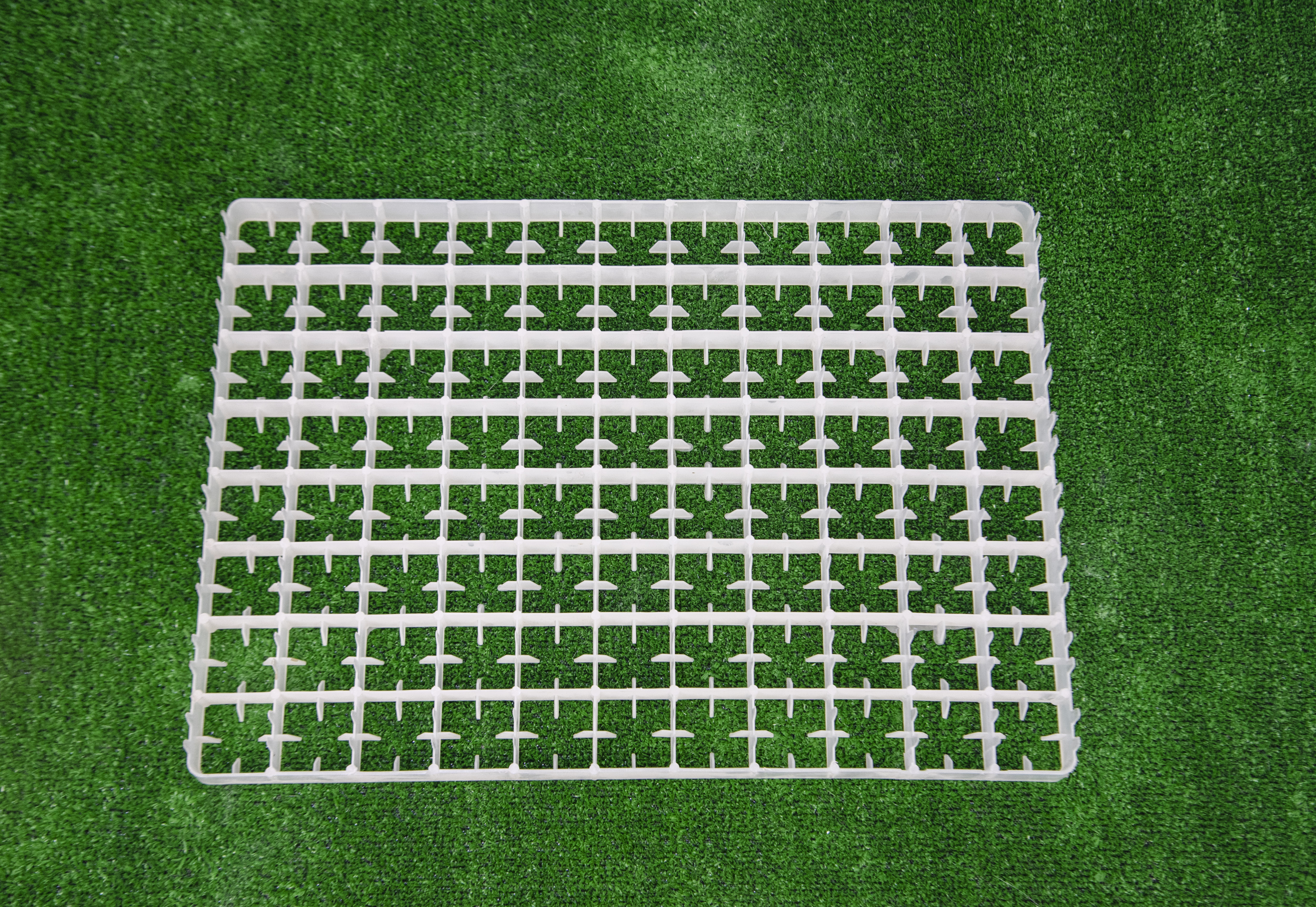 Сотовый лоток для куриных яиц. Фото 1