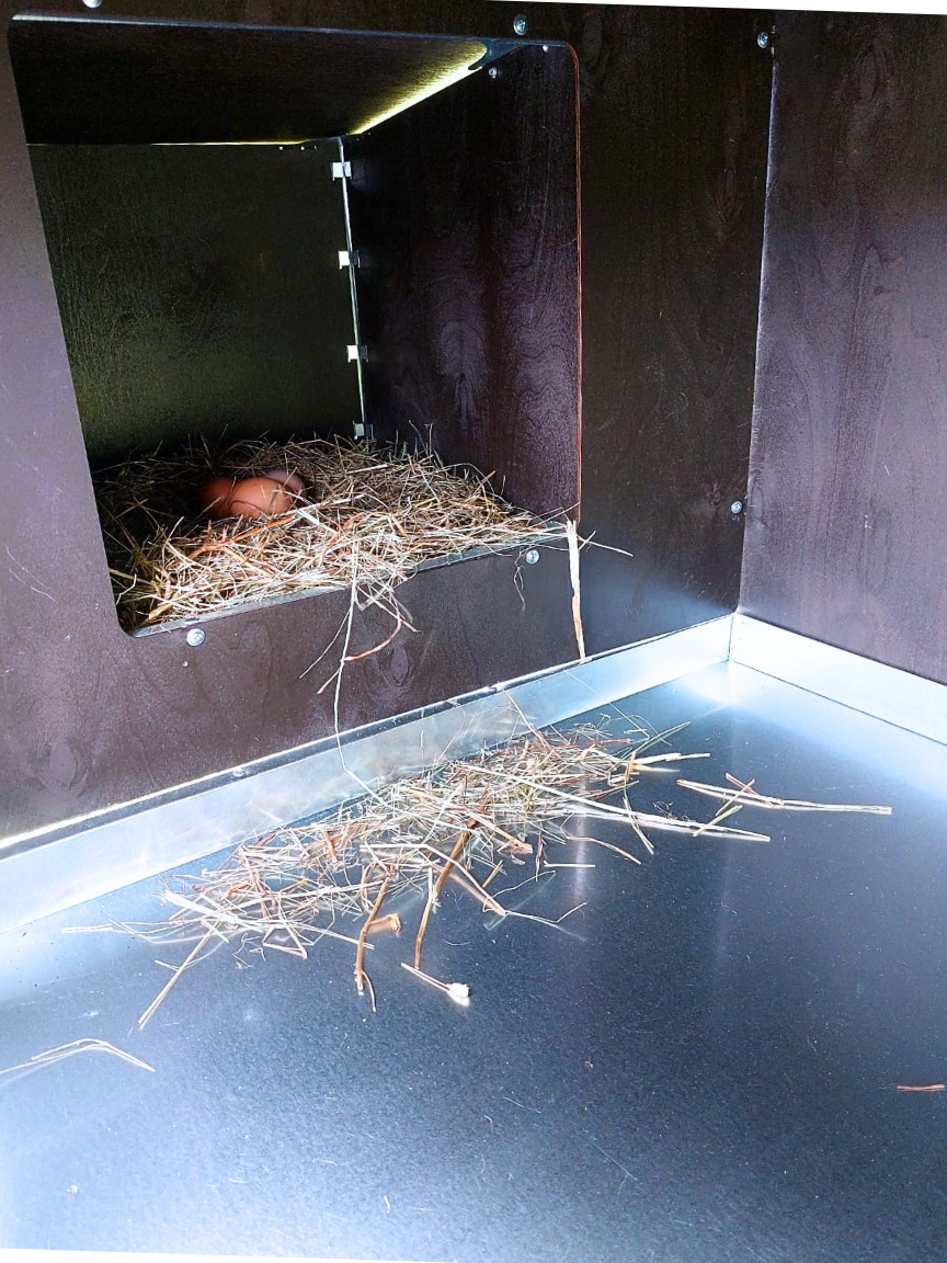 Курятник "Фазенда" на 8-10 кур. Фото 13