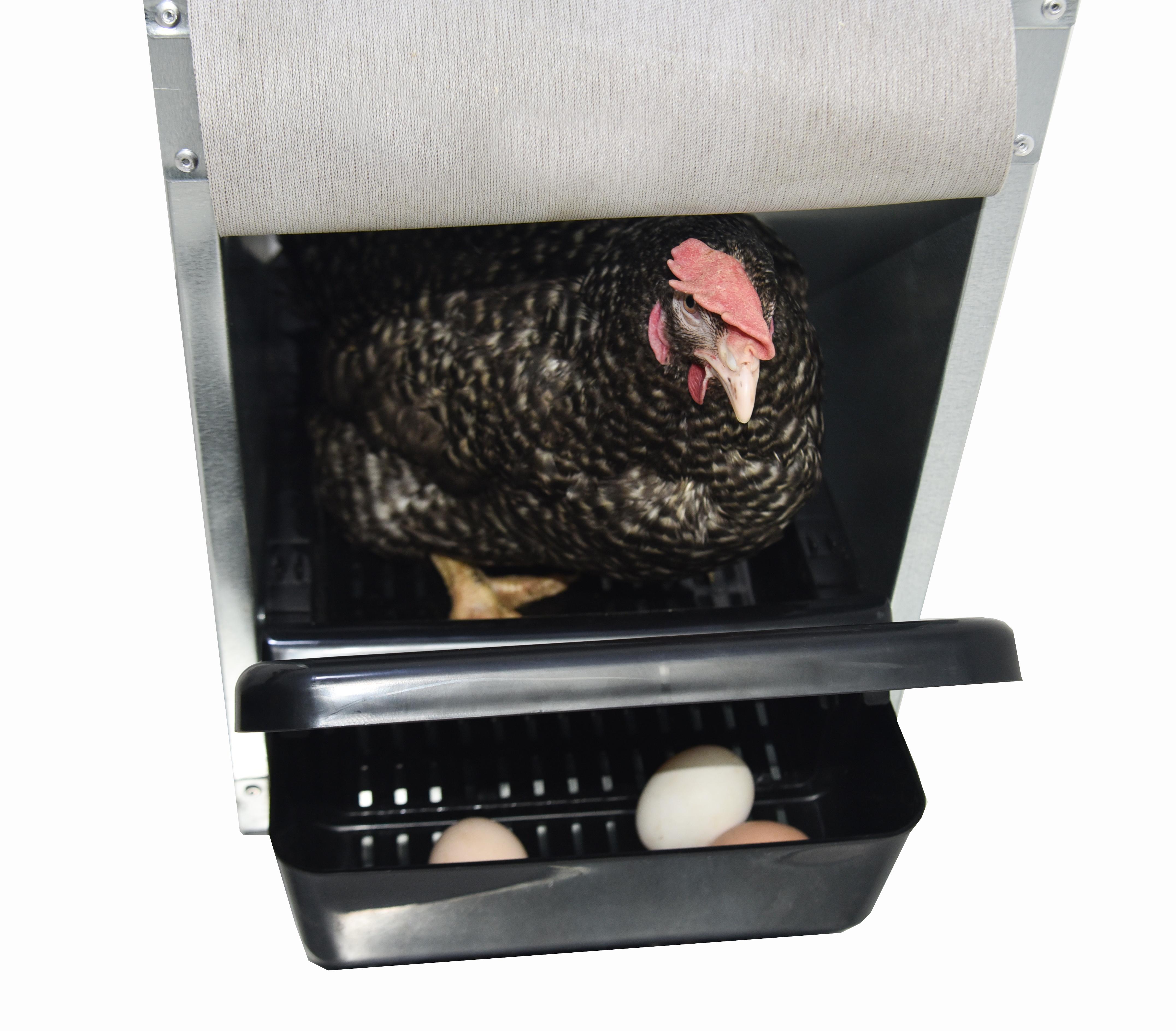 Гнездо для кур-несушек "Компакт" 2-2. Фото 2