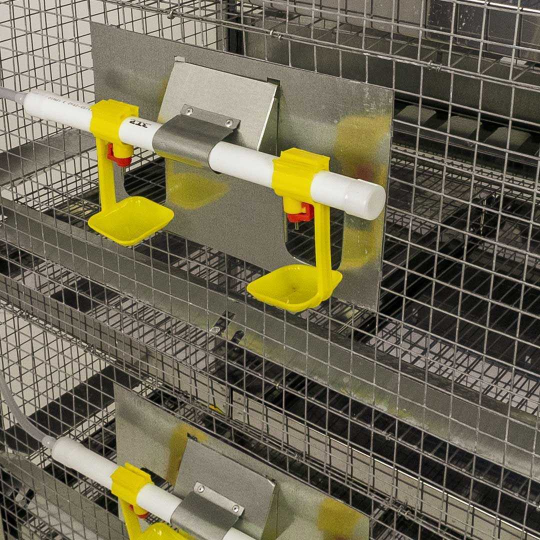 Клетка для бройлеров  "Гранд" 30. Фото 3