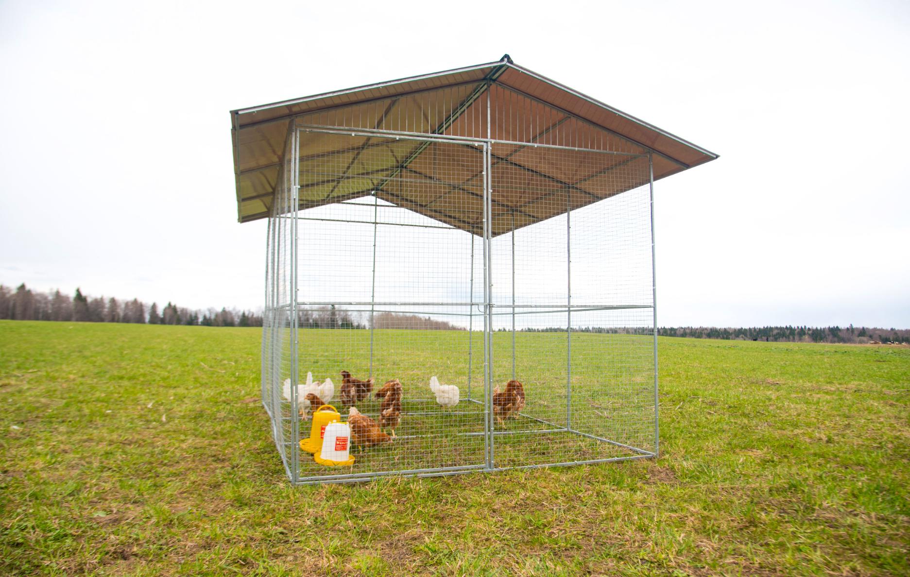 Выгул "Разгуляй" с крышей 2-3-К. Фото 1