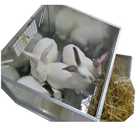 Клетка для откорма кроликов "ПРОФЕССИОНАЛ"-55-КО-1. Фото 8