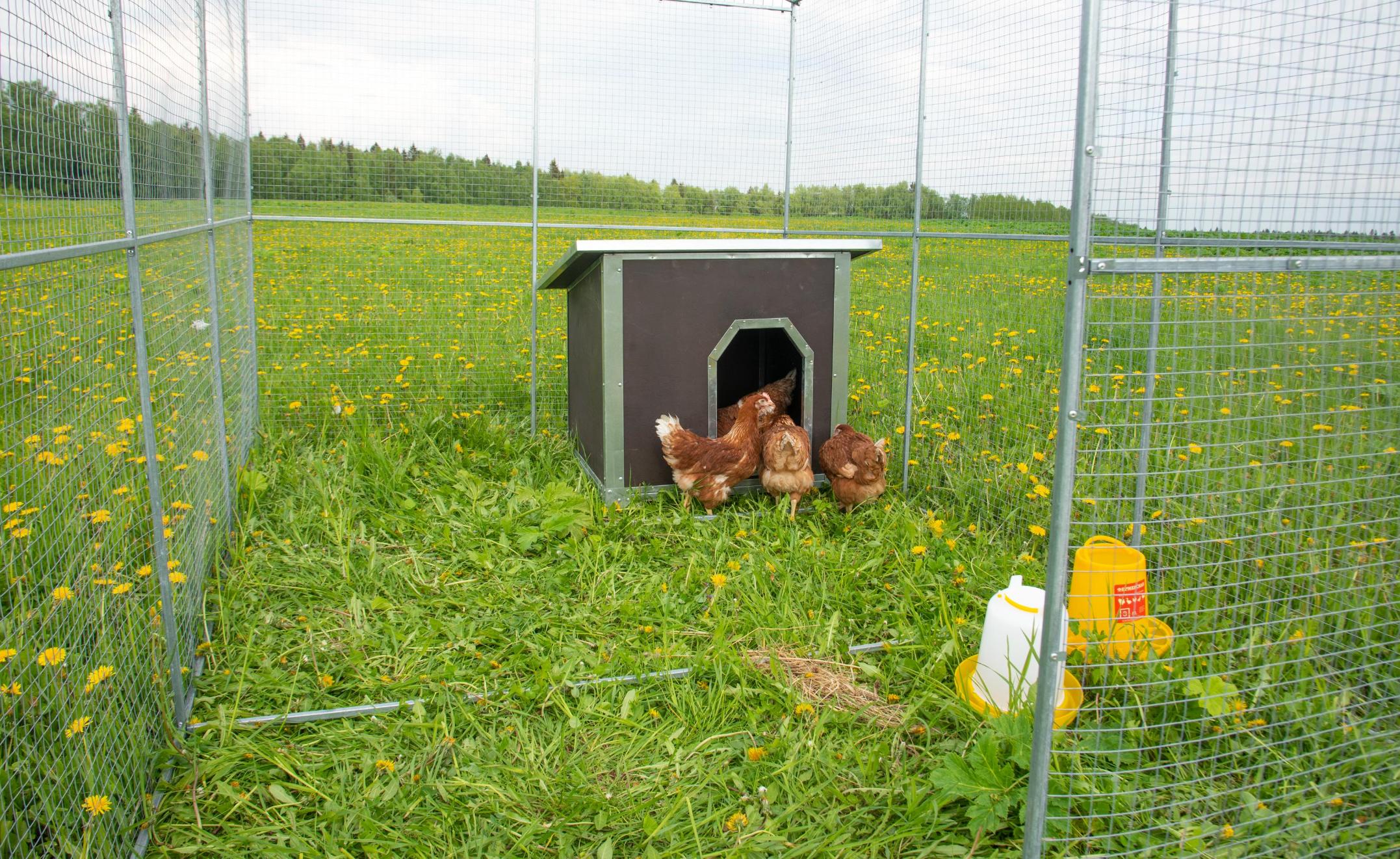 Выгул "Разгуляй" с крышей 2-3-К. Фото 8