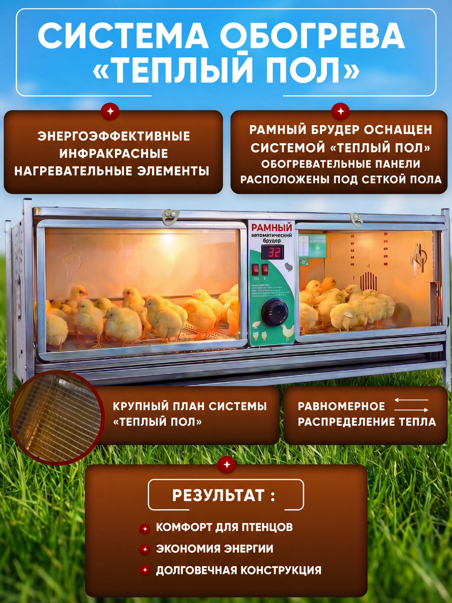 Рамный автоматический брудер 0712 Стандарт. Фото 2 Рамный автоматический брудер 0712 Стандарт. Фото 2