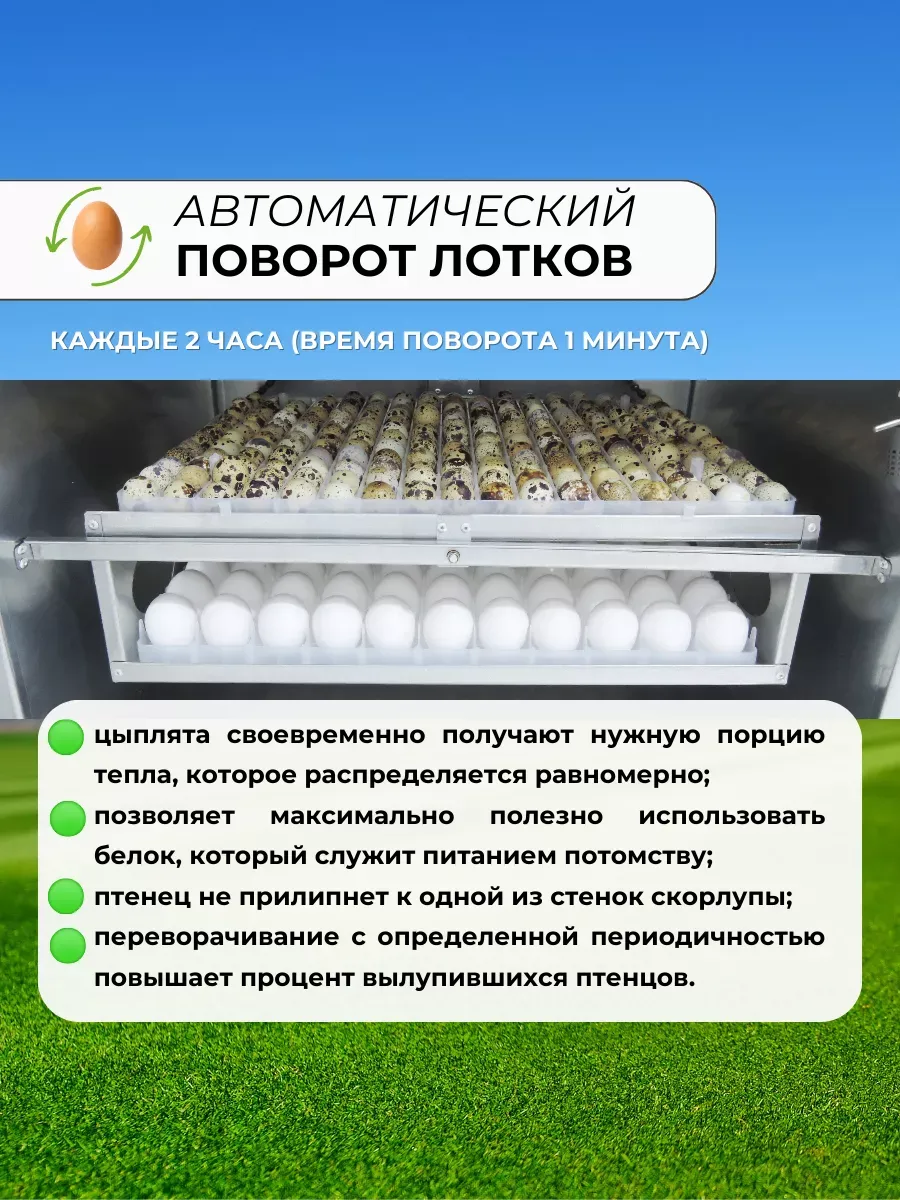 Инкубатор Гарант -176  "Стандарт". Фото 4