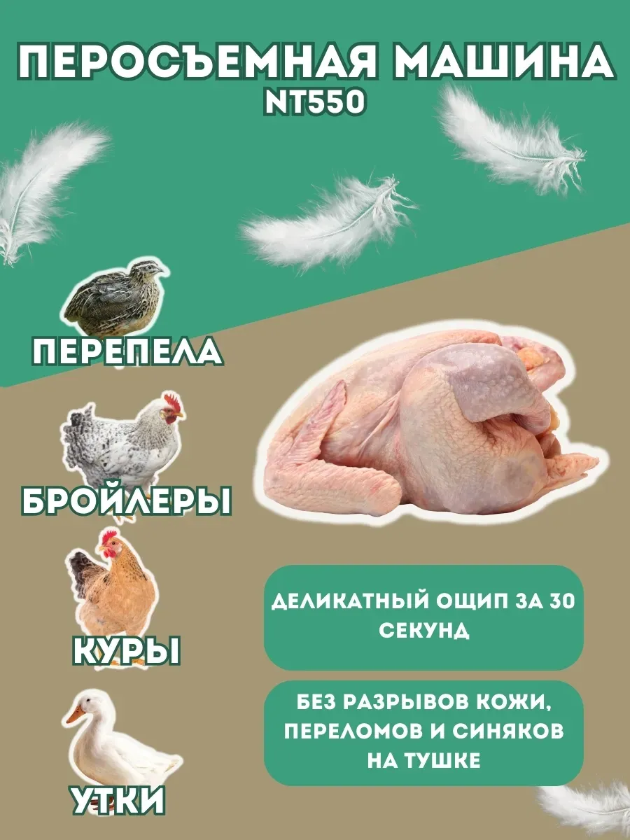 Перосъёмная машина-55 (НТ-550). Фото 4