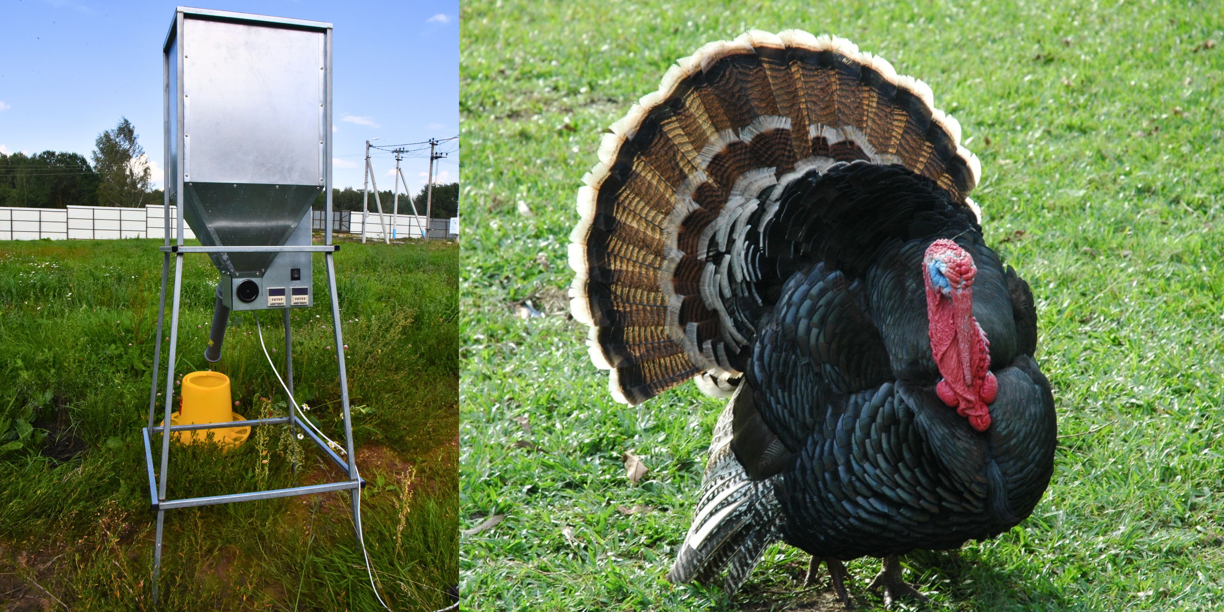 Бункер кормовой автоматический "Дозатор 45". Фото 21