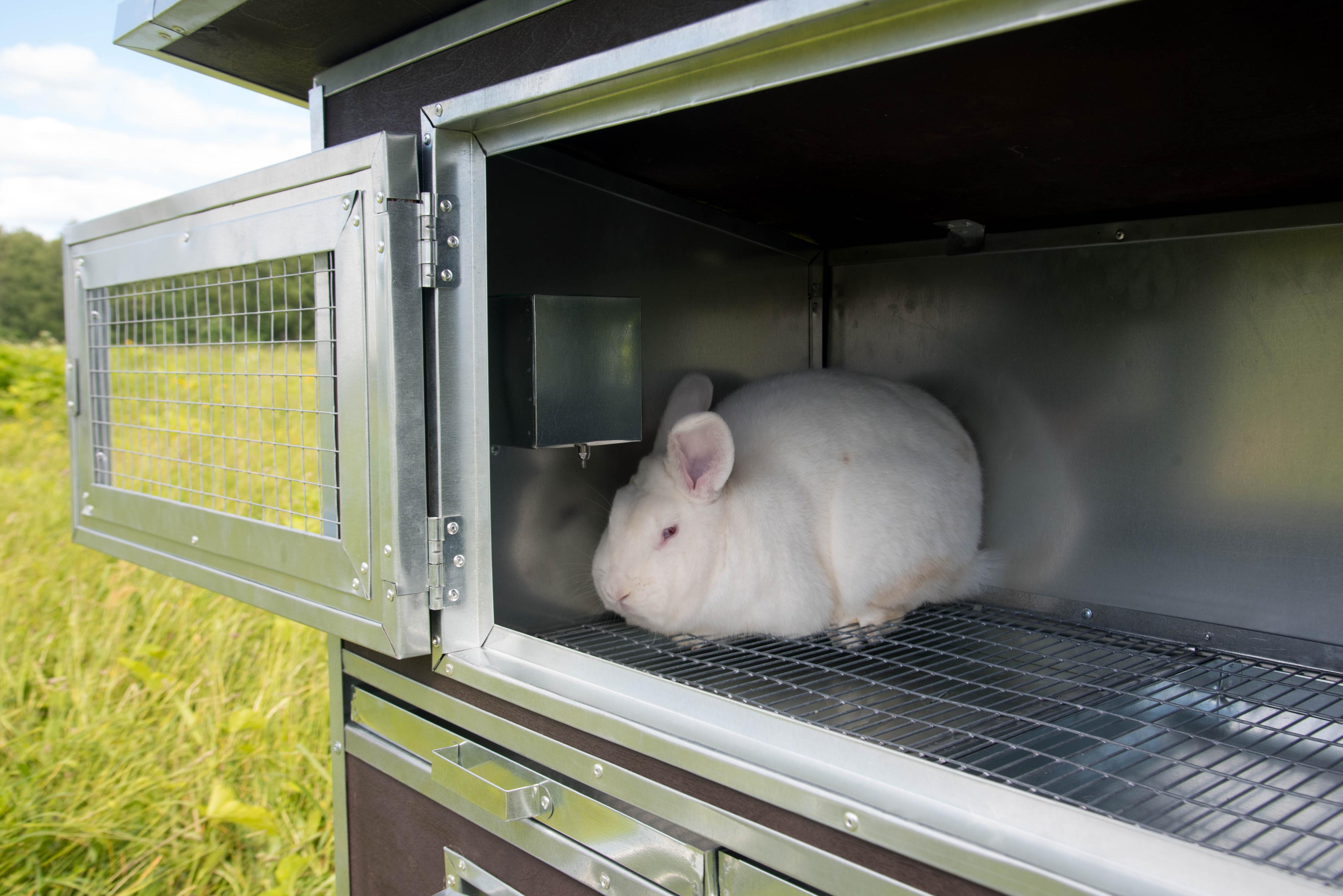 Утепленный отапливаемый крольчатник "Бестселлер" О-11. Фото 13