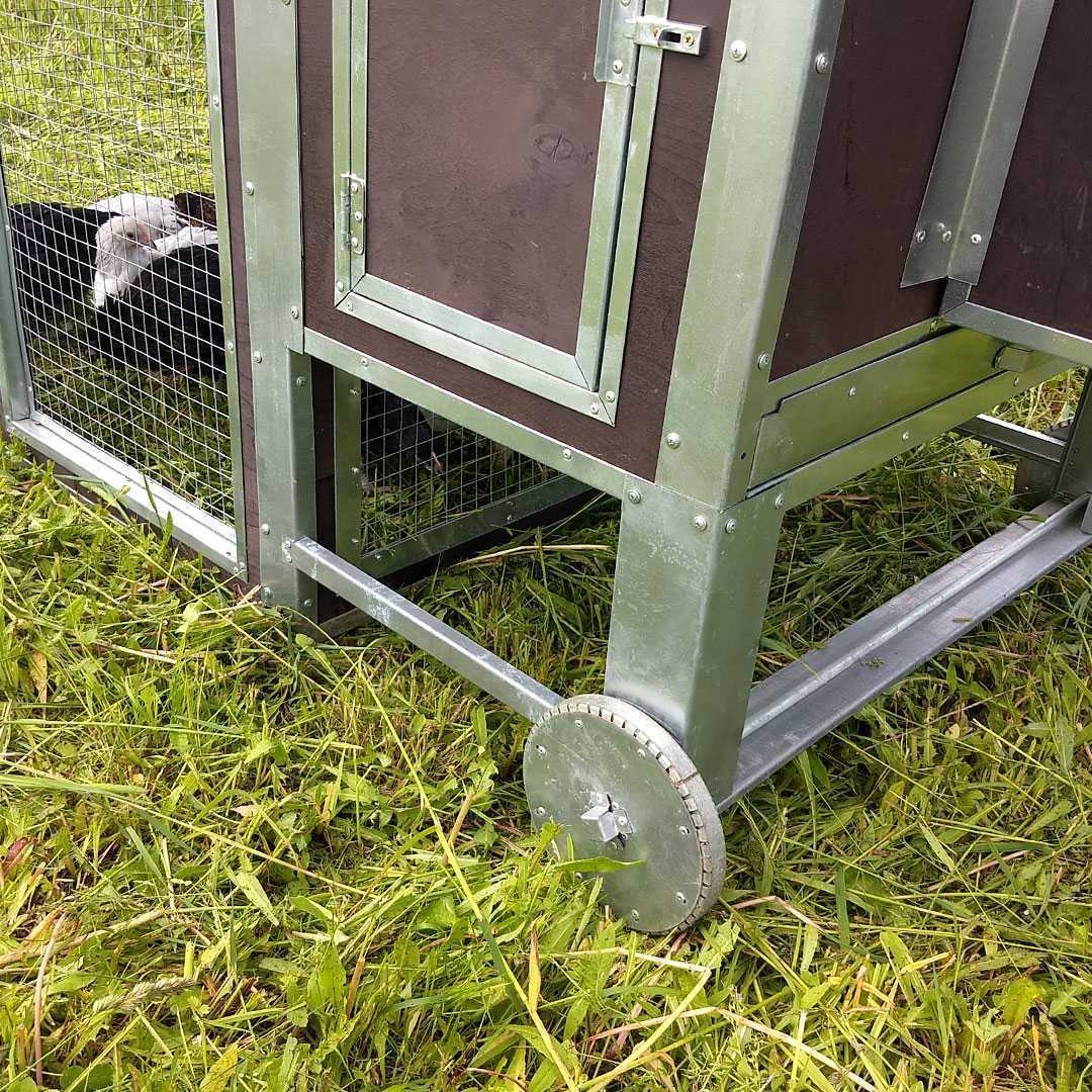 Утепленный отапливаемый уличный курятник с выгулом "Перекати поле". Фото 5