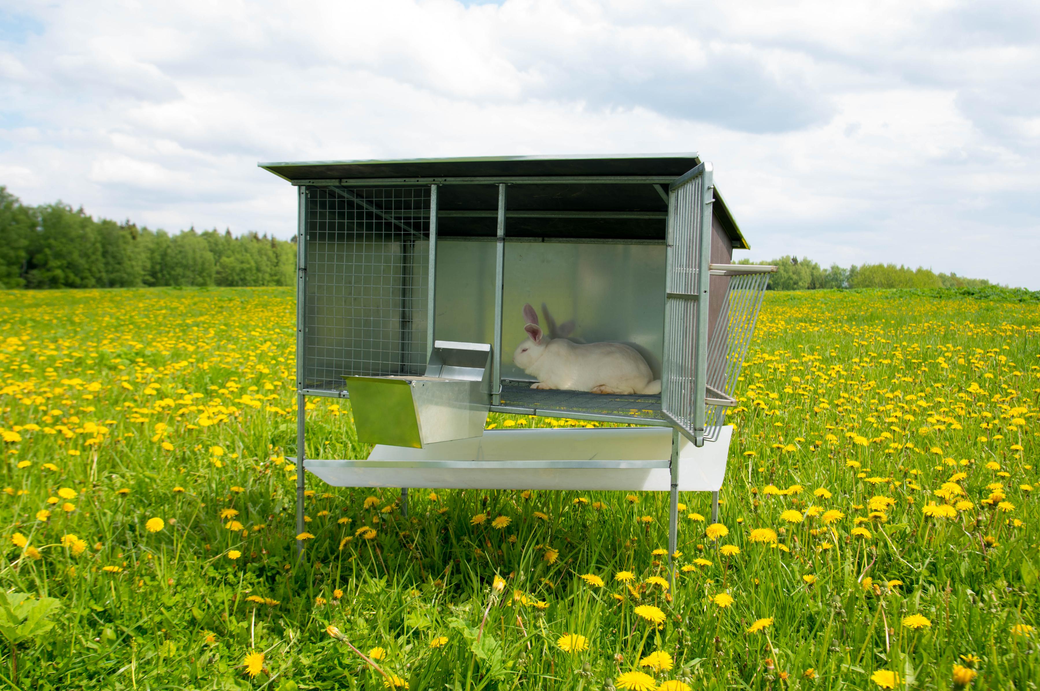 Уличный домик для кроликов "Фазенда" КО-2. Фото 8