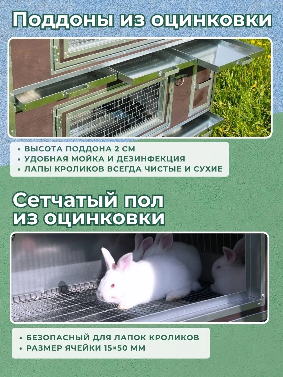 Утепленный отапливаемый крольчатник "Бестселлер" О-21. Фото 4