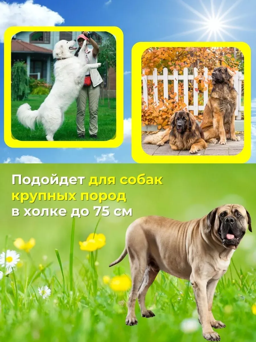 Будка для собак утепленная XL. Фото 2