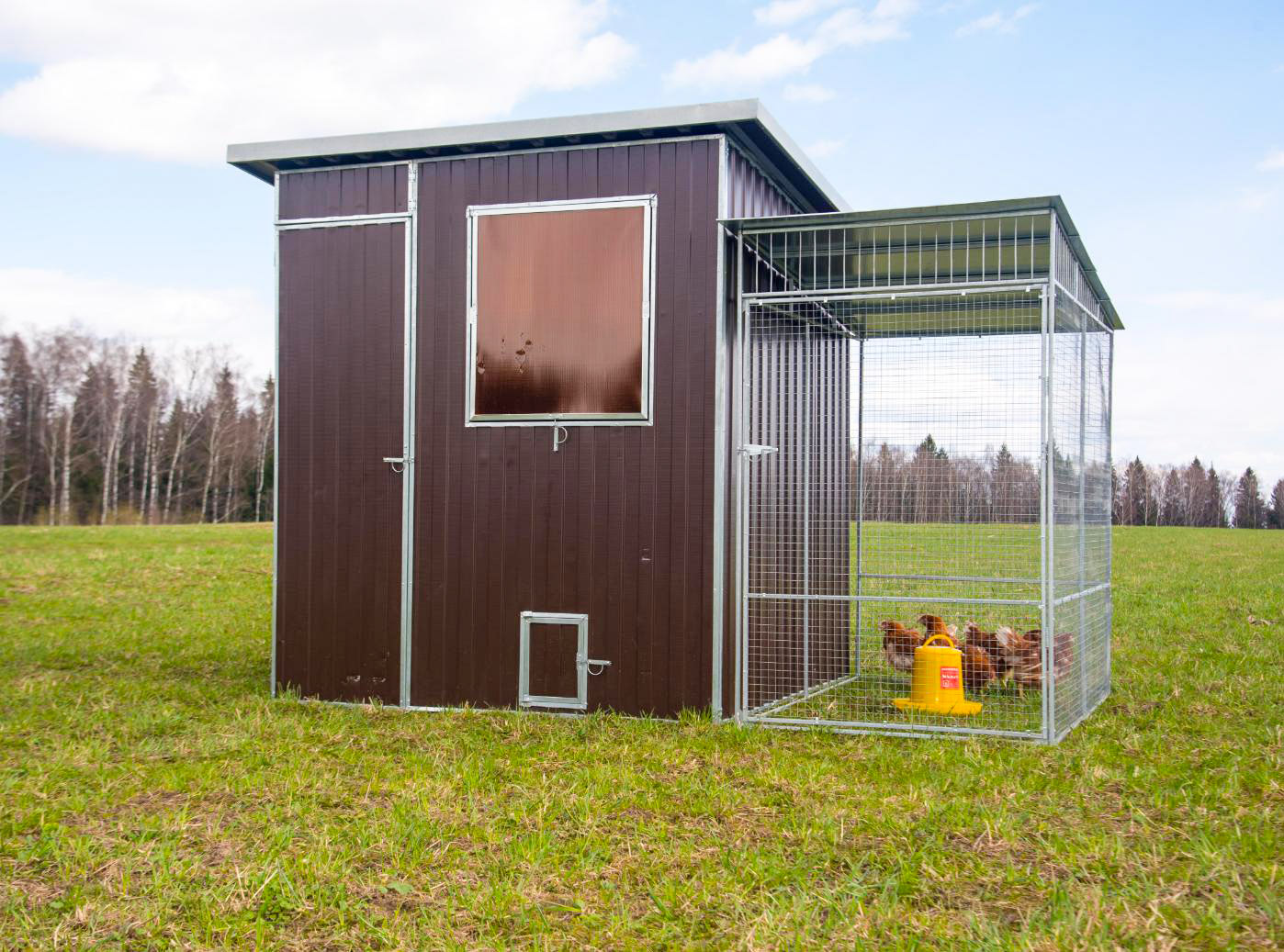 Выгул "Разгуляй" из сетки 1-2-С. Фото 2