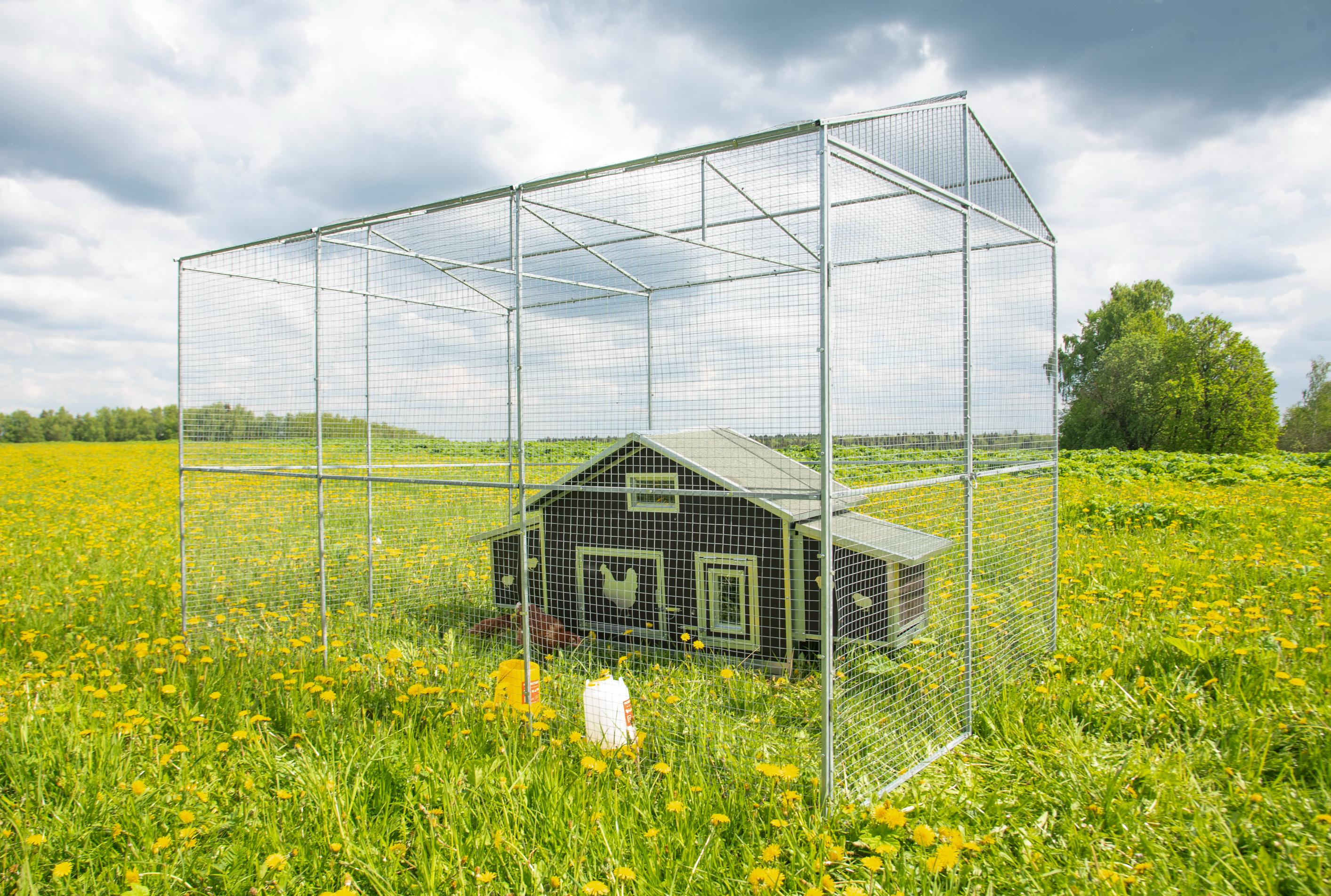 Выгул "Разгуляй"  из сетки 2-2-С. Фото 11