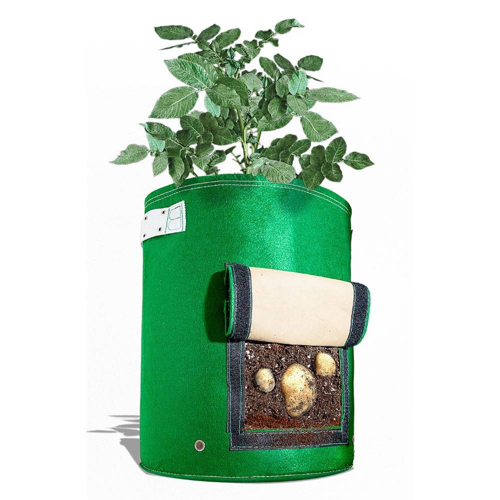 Войлочная сумка для выращивания картофеля. Фото 2