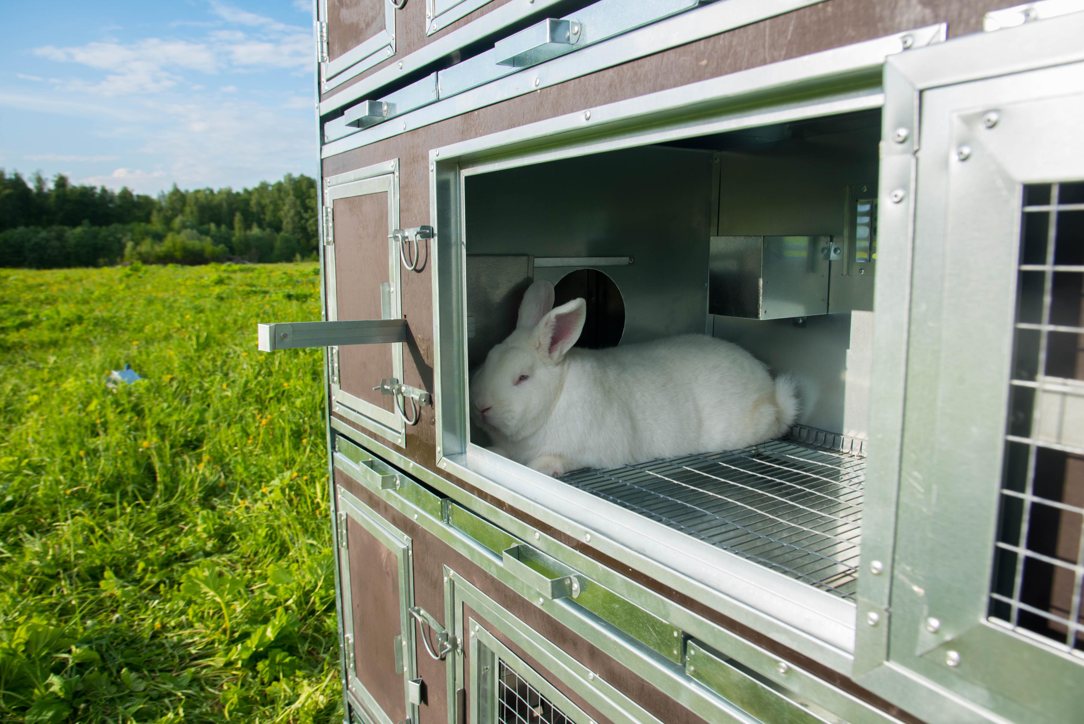 Утепленный отапливаемый крольчатник "Бестселлер" М-23. Фото 6
