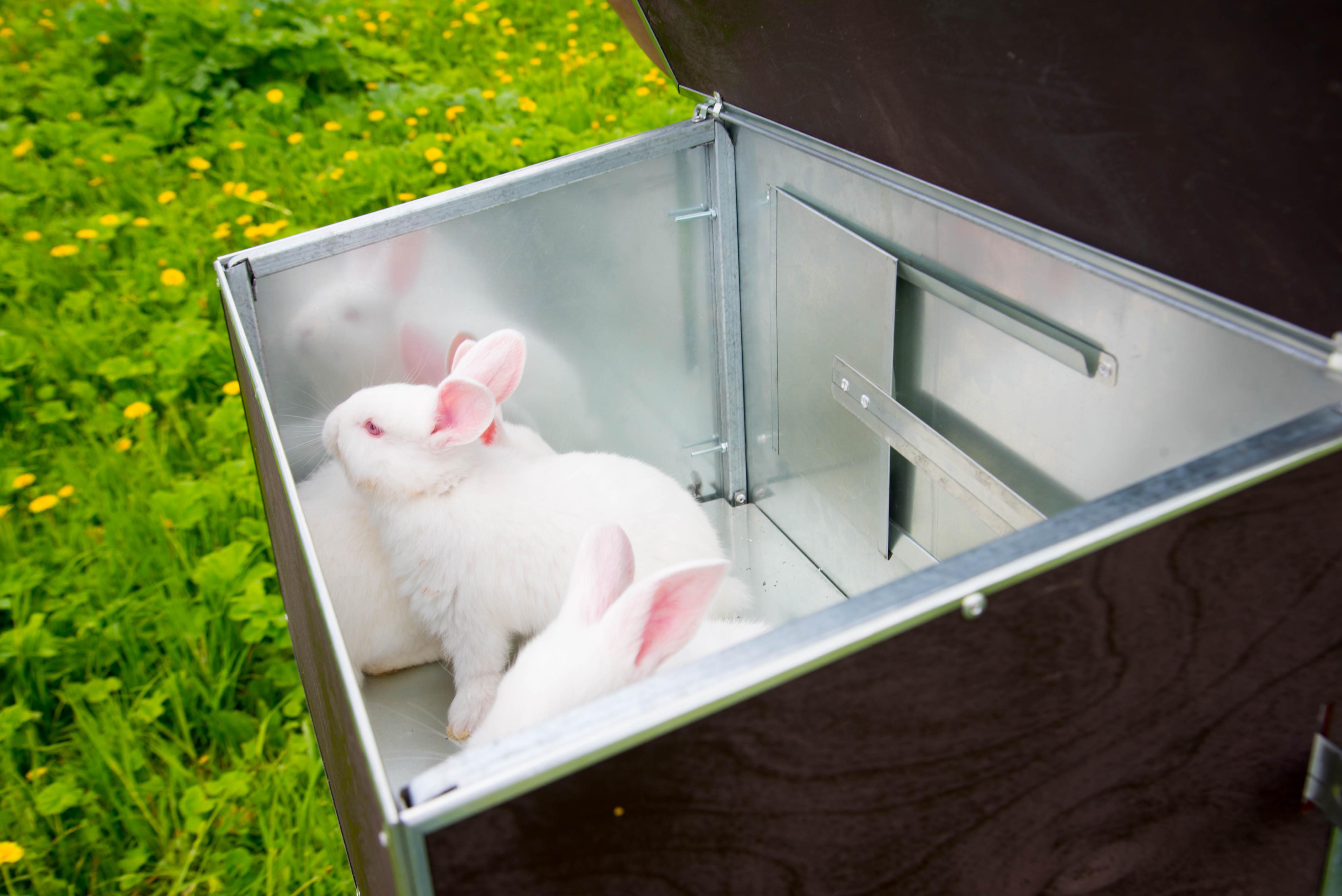 Уличный домик для кроликов "Фаворит" КР2-М-О. Фото 13