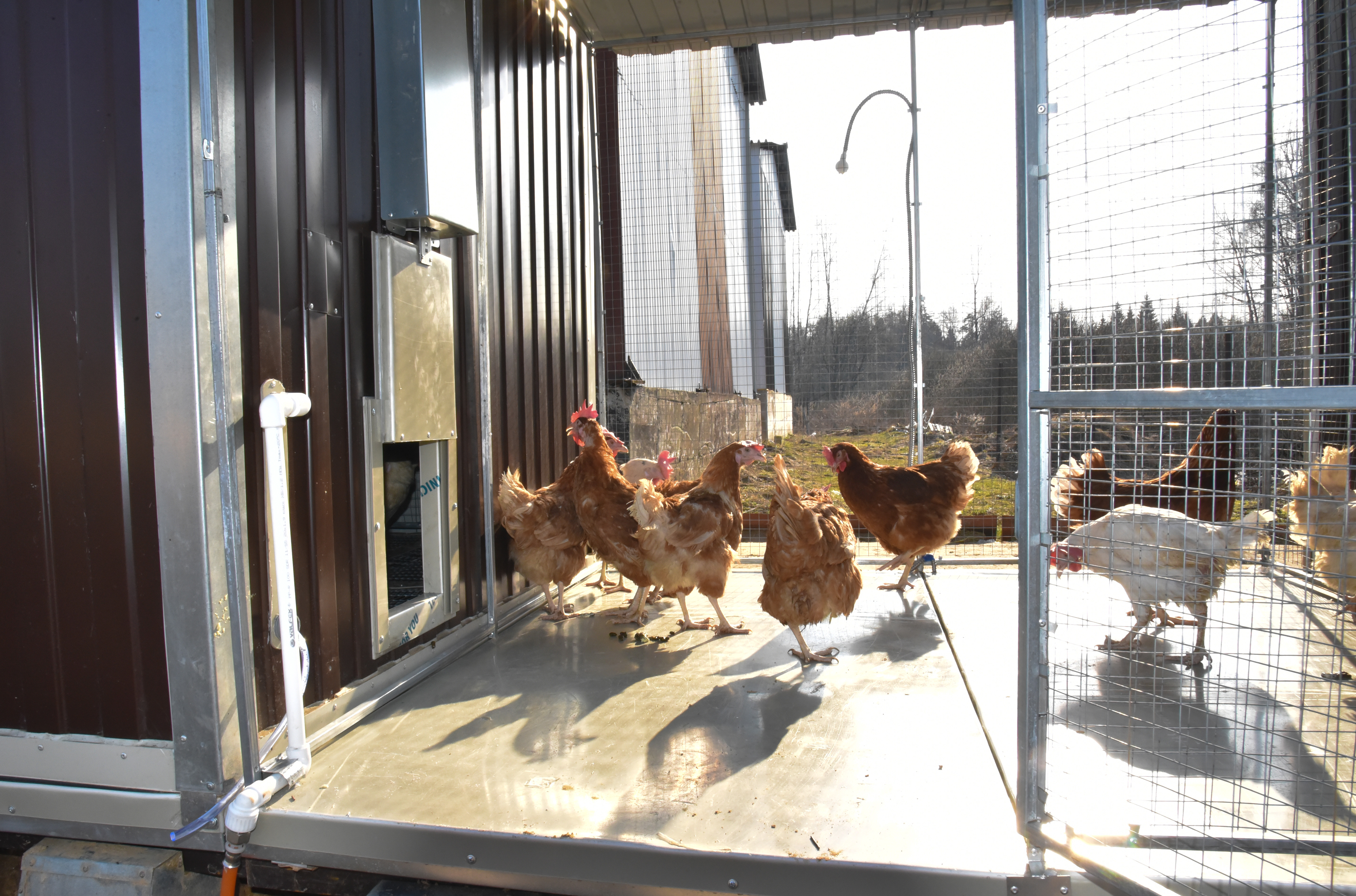 Панель пола утепленная с защитой от грызунов 90/180. Фото 6