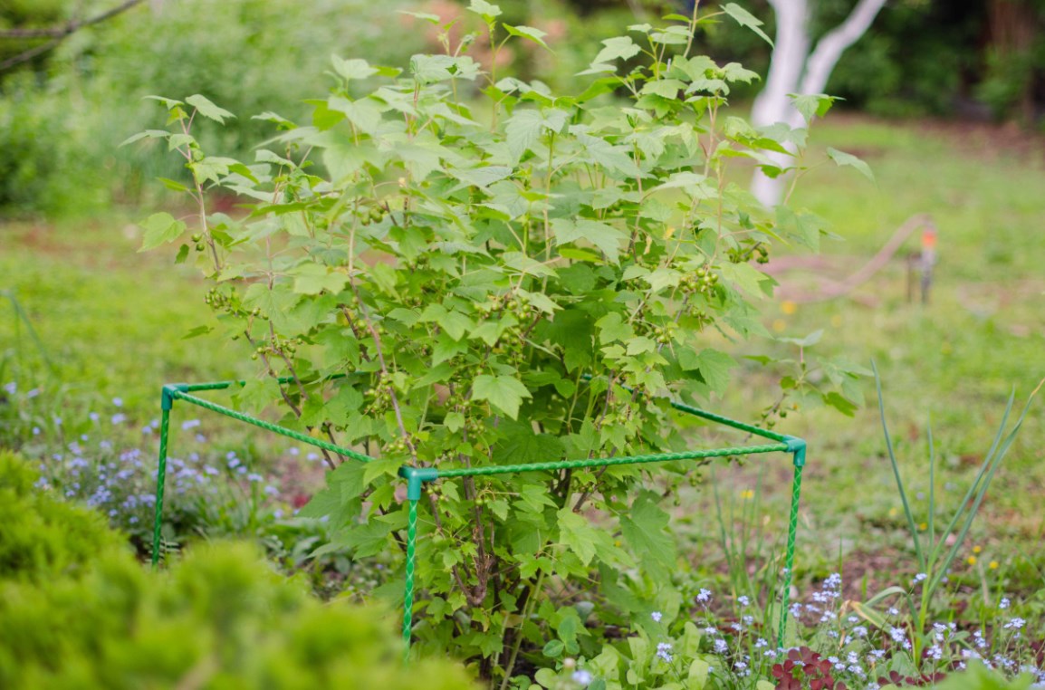 Ограждение для кустарников 1,2 м. Фото 2