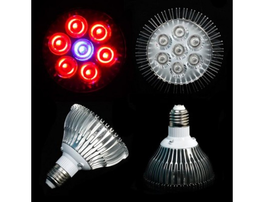 Фитолампа 21W Биколор. Фото 1