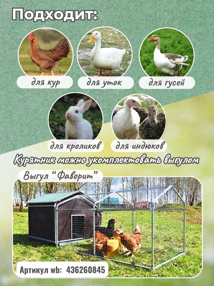 Курятник "Фаворит" на 8-10 кур. Фото 2