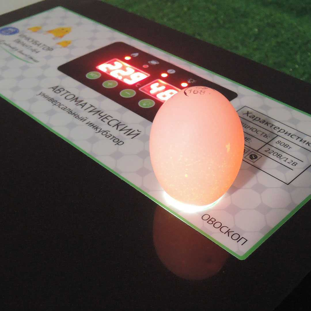 Инкубатор Smart Household-64. Фото 7