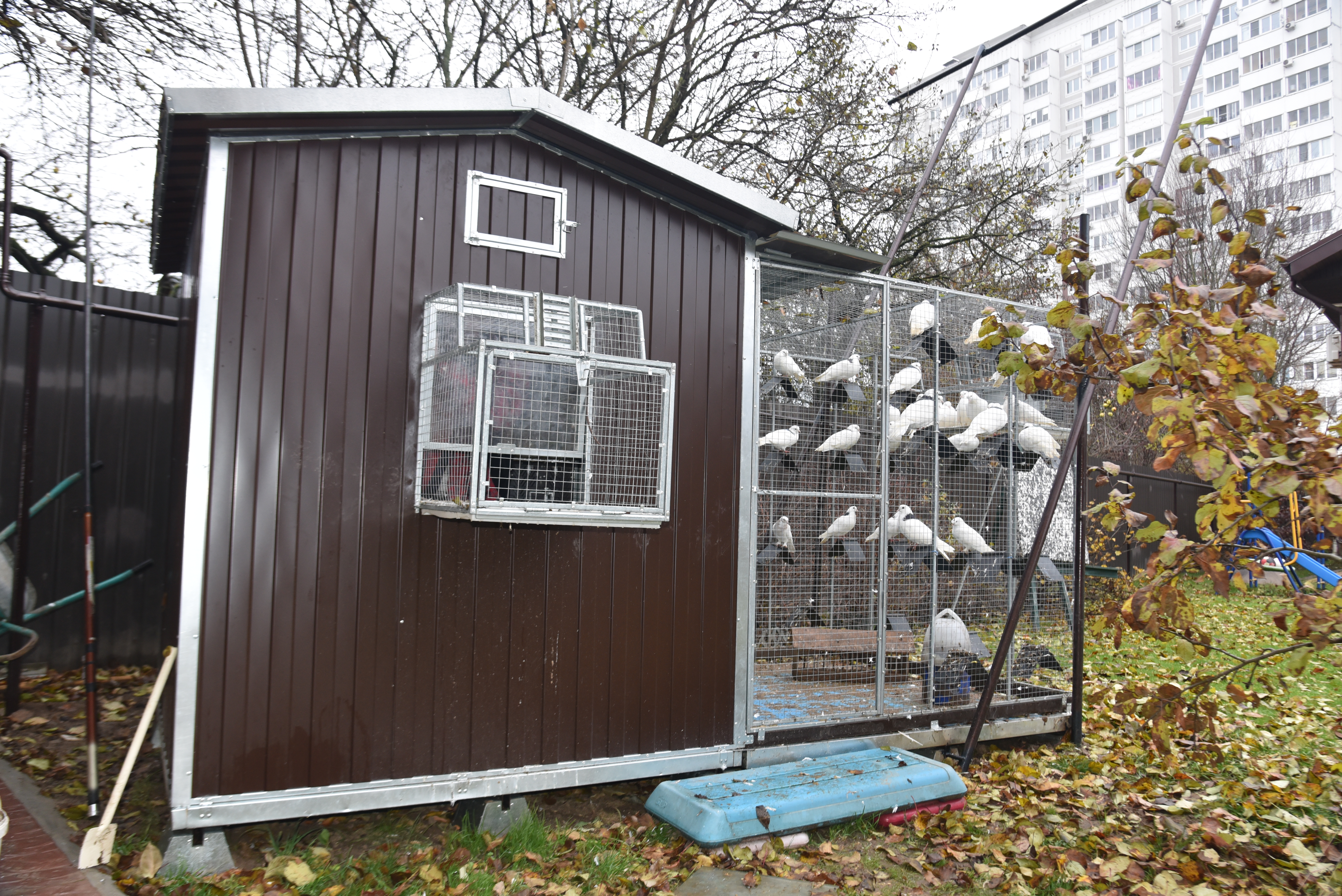 Голубятня "Любовь". Фото 30