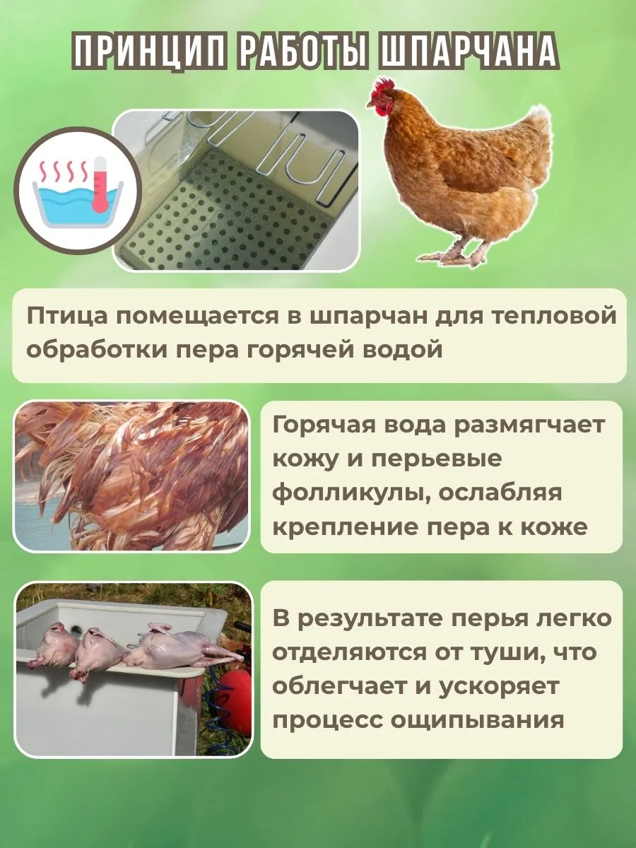 Шпарчан "Автоградус-4000 Индо Бульбар". Фото 5