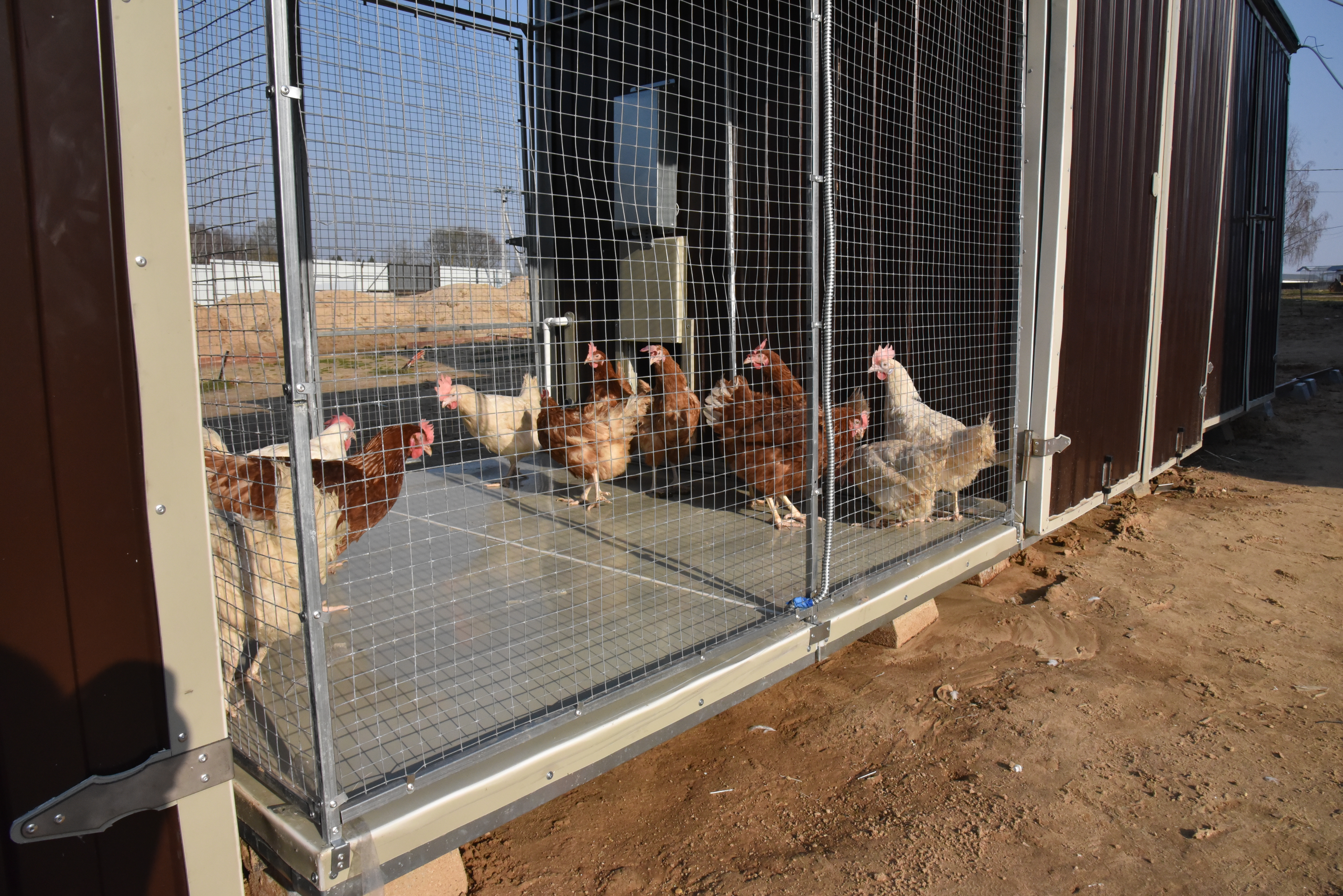 Выгул "Разгуляй" приставной с крышей 1-2-КП. Фото 13