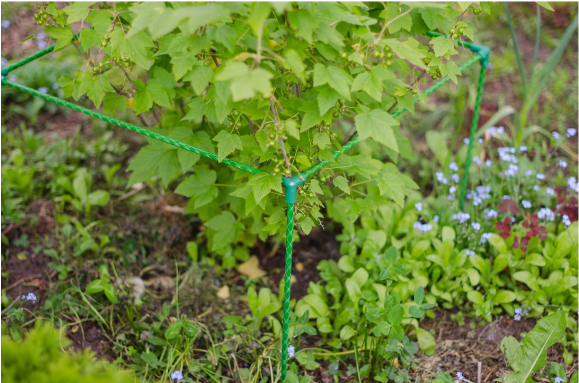 Ограждение для кустарников 1,2 м. Фото 1