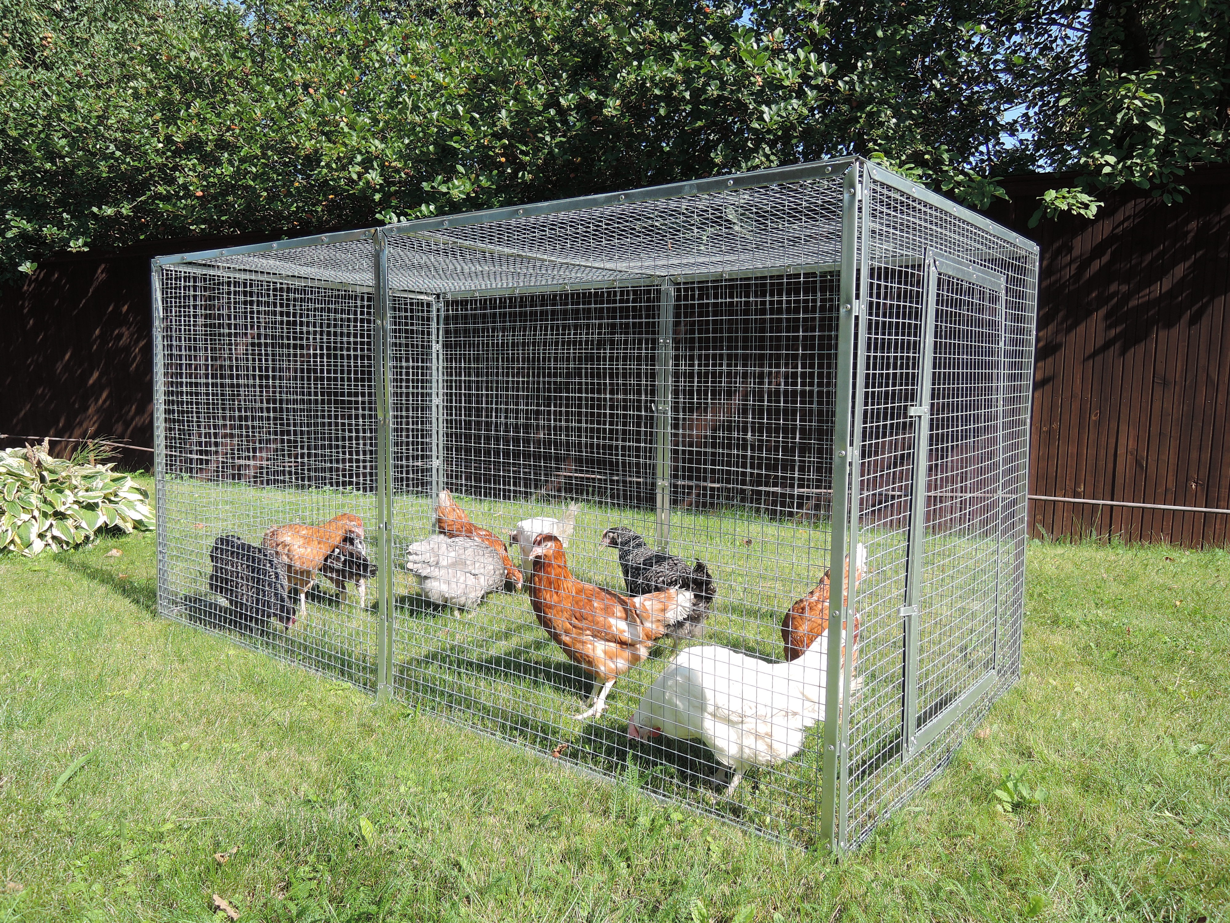 Выгул "Лужайка"-6. Фото 4