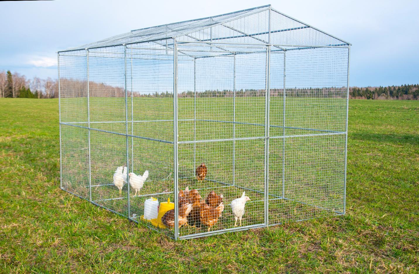 Выгул "Разгуляй" из сетки 2-3-С. Фото 2