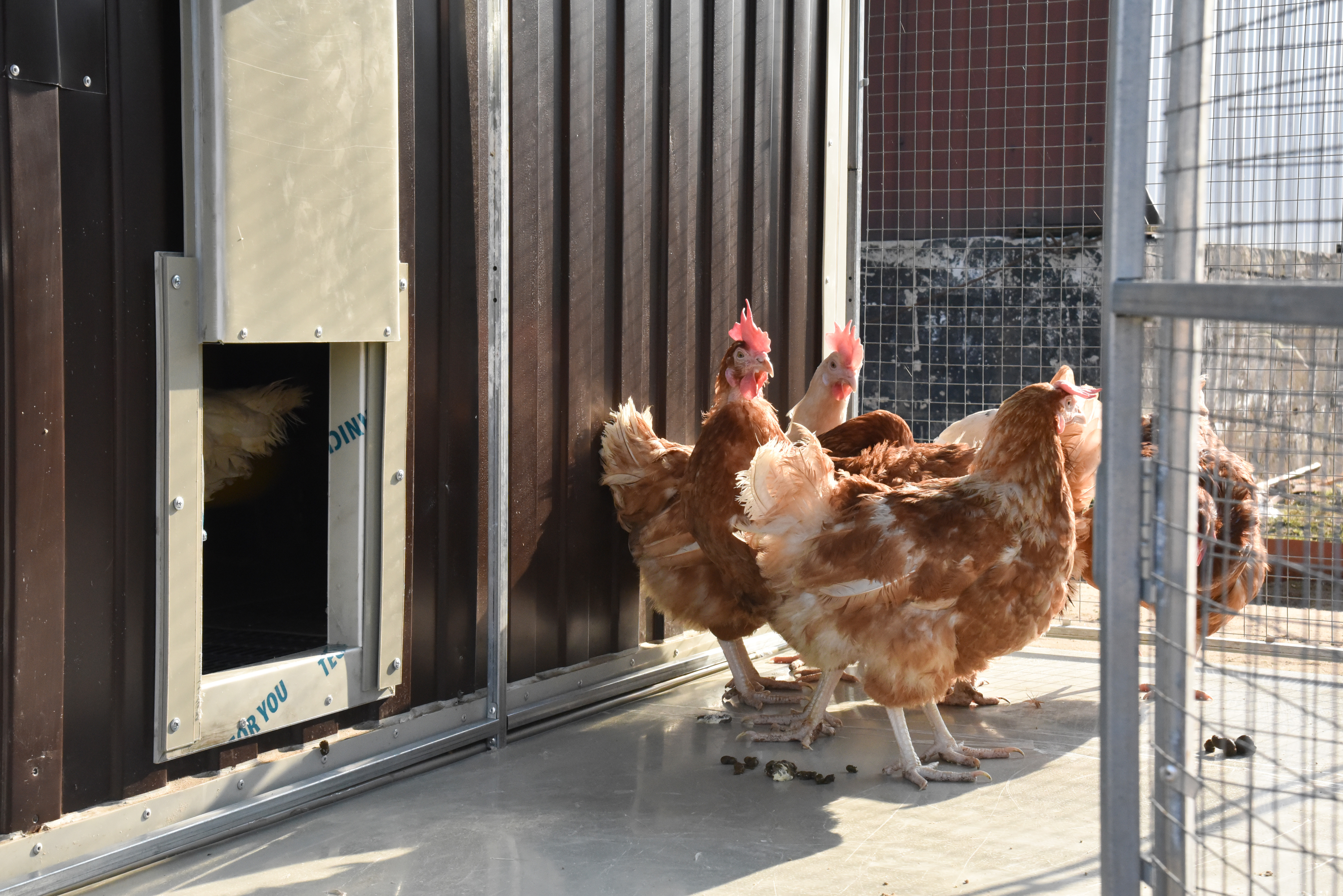 Панель пола утепленная с защитой от грызунов 90/180. Фото 8