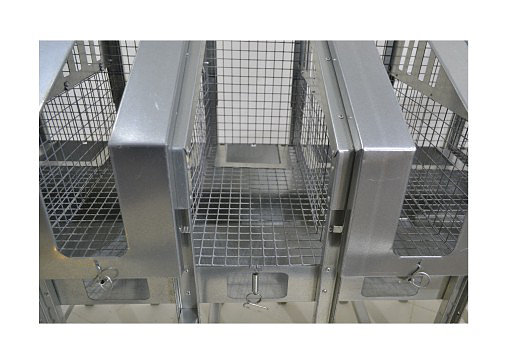 Фуа-гра 2-10. Фото 1