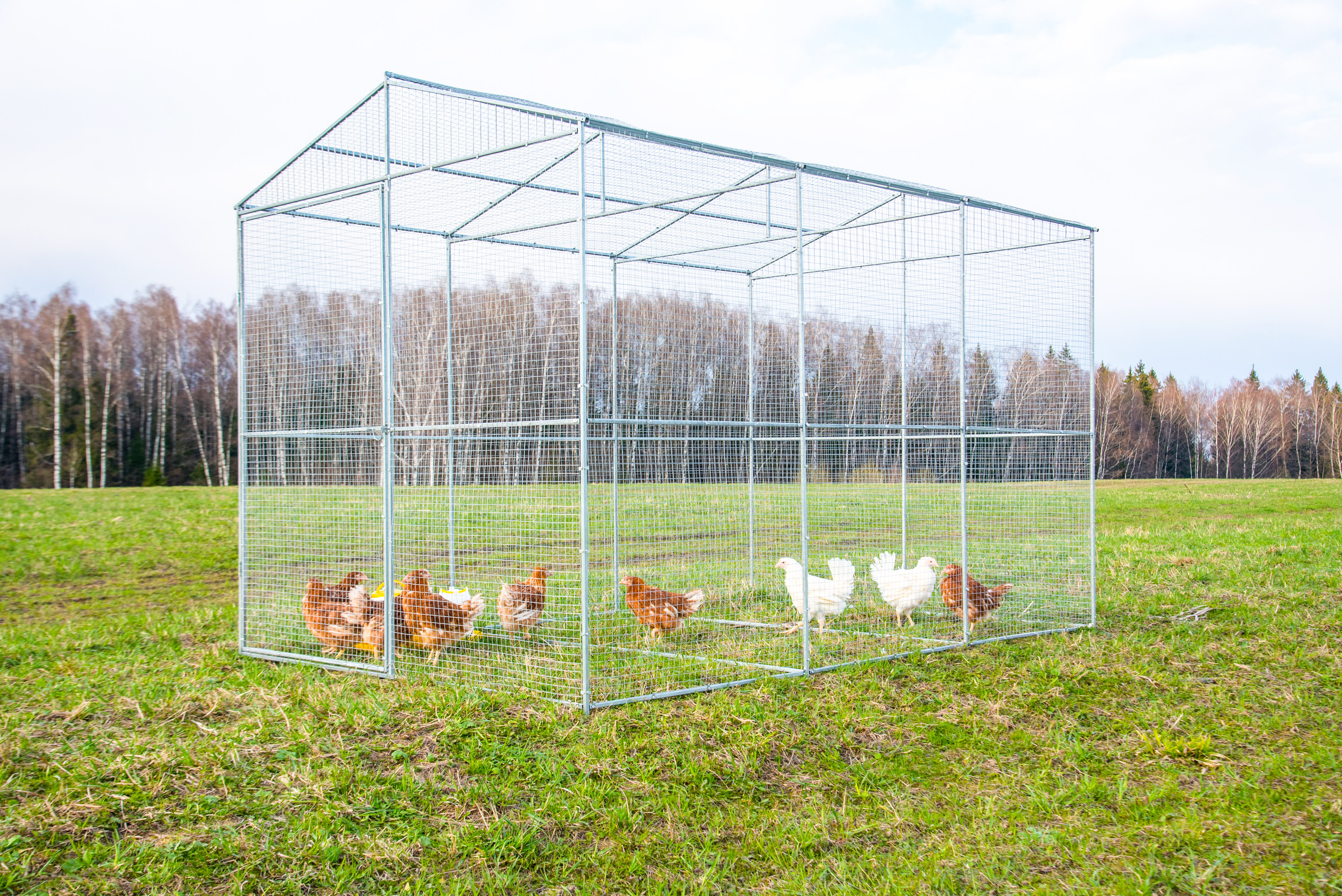 Выгулы для птицы 